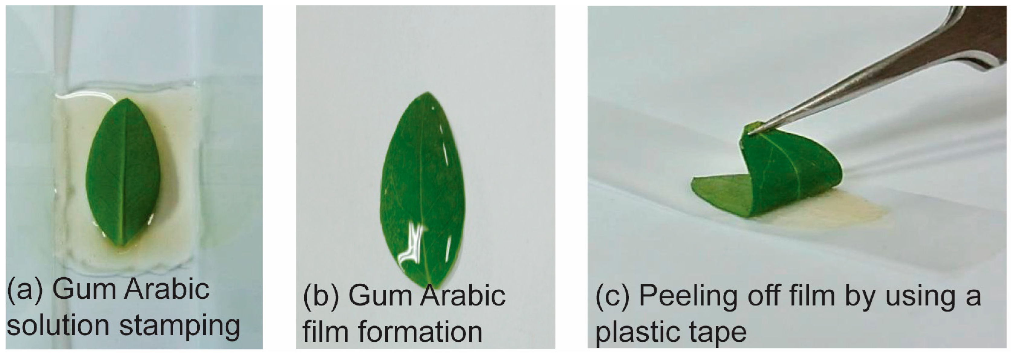 Molecules 27 07582 g006 Molecules 27 07582 g006