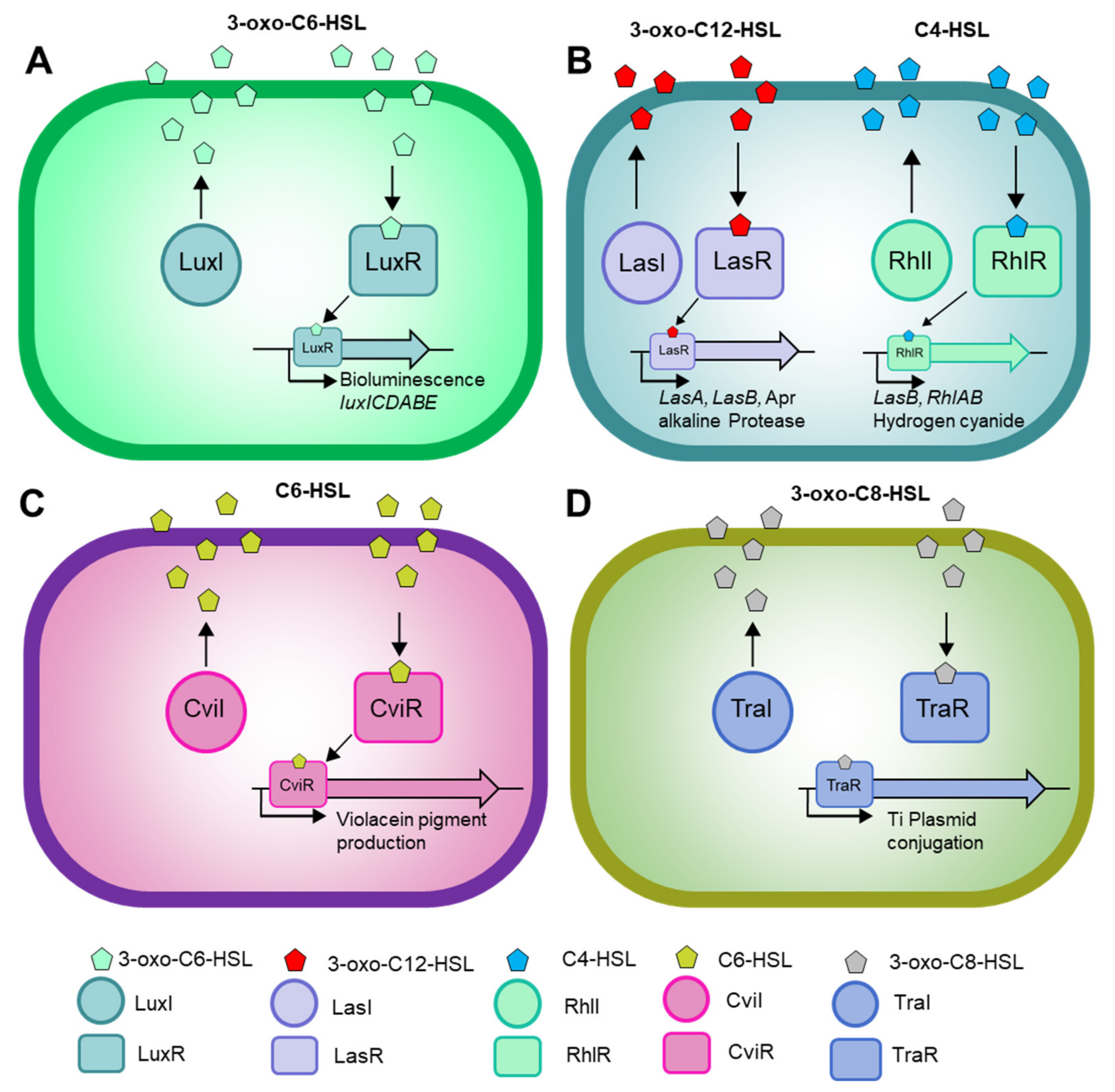 Molecules 27 07584 g001