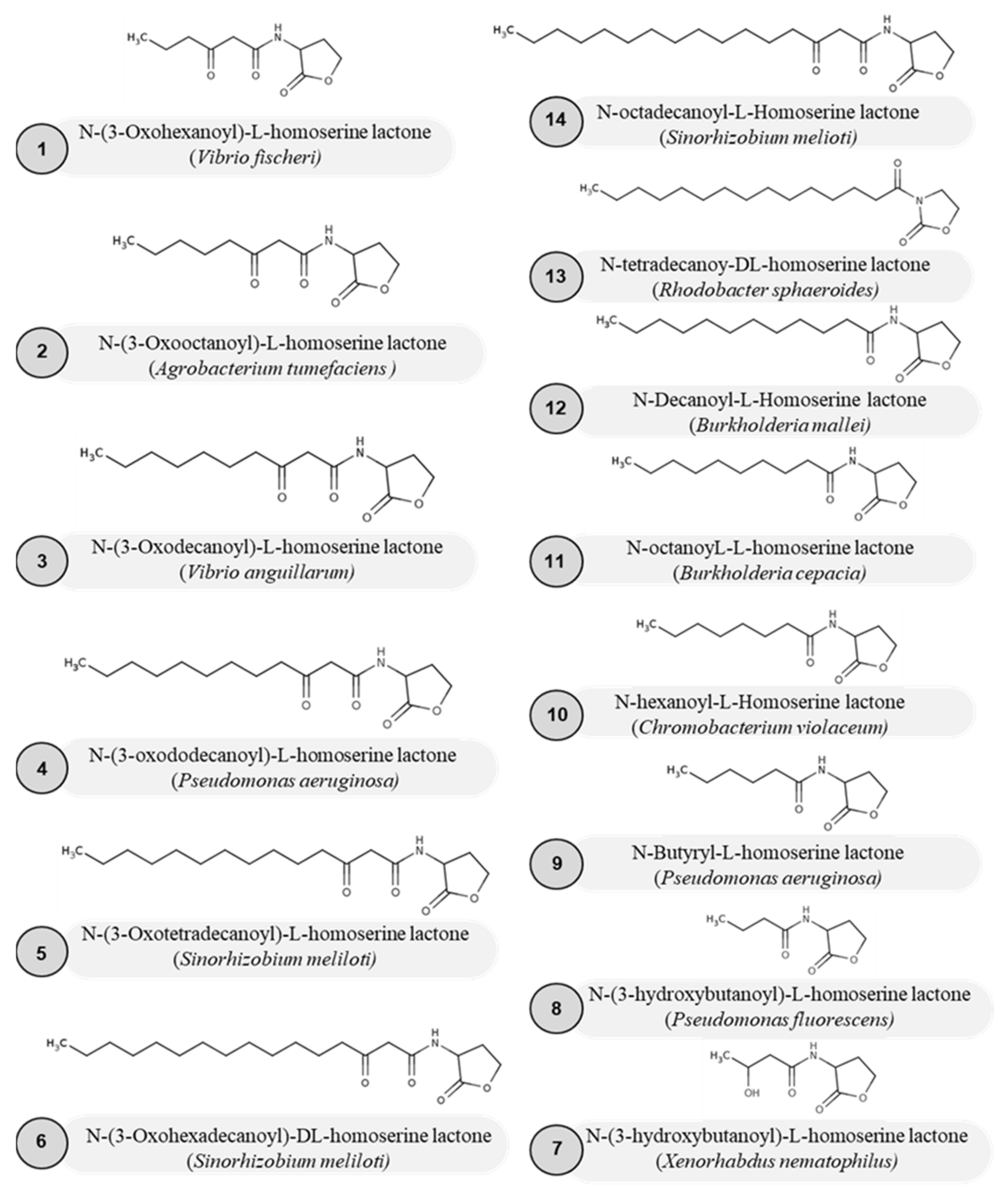 Molecules 27 07584 g002