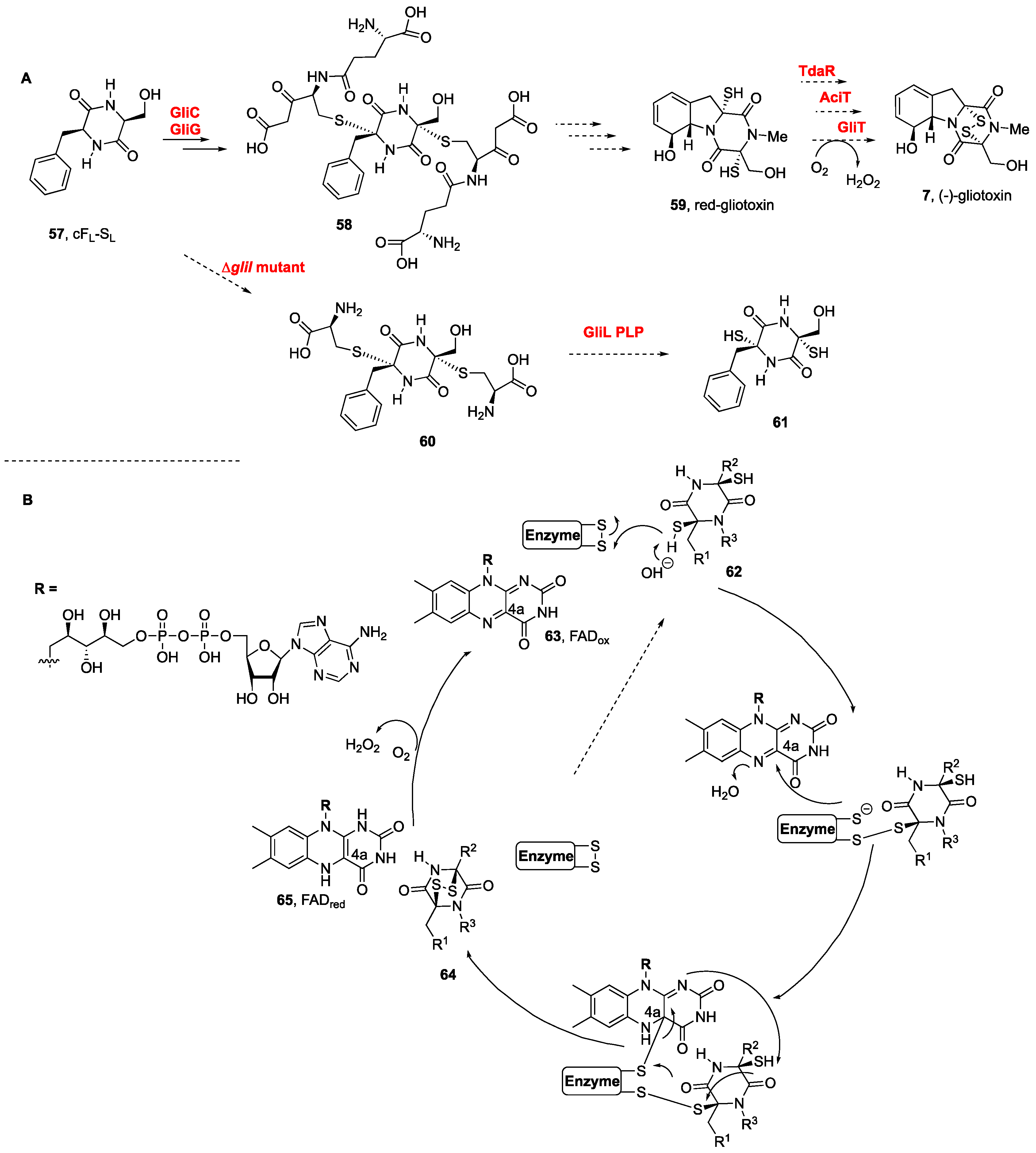 Molecules 27 07585 sch002 Molecules 27 07585 sch002