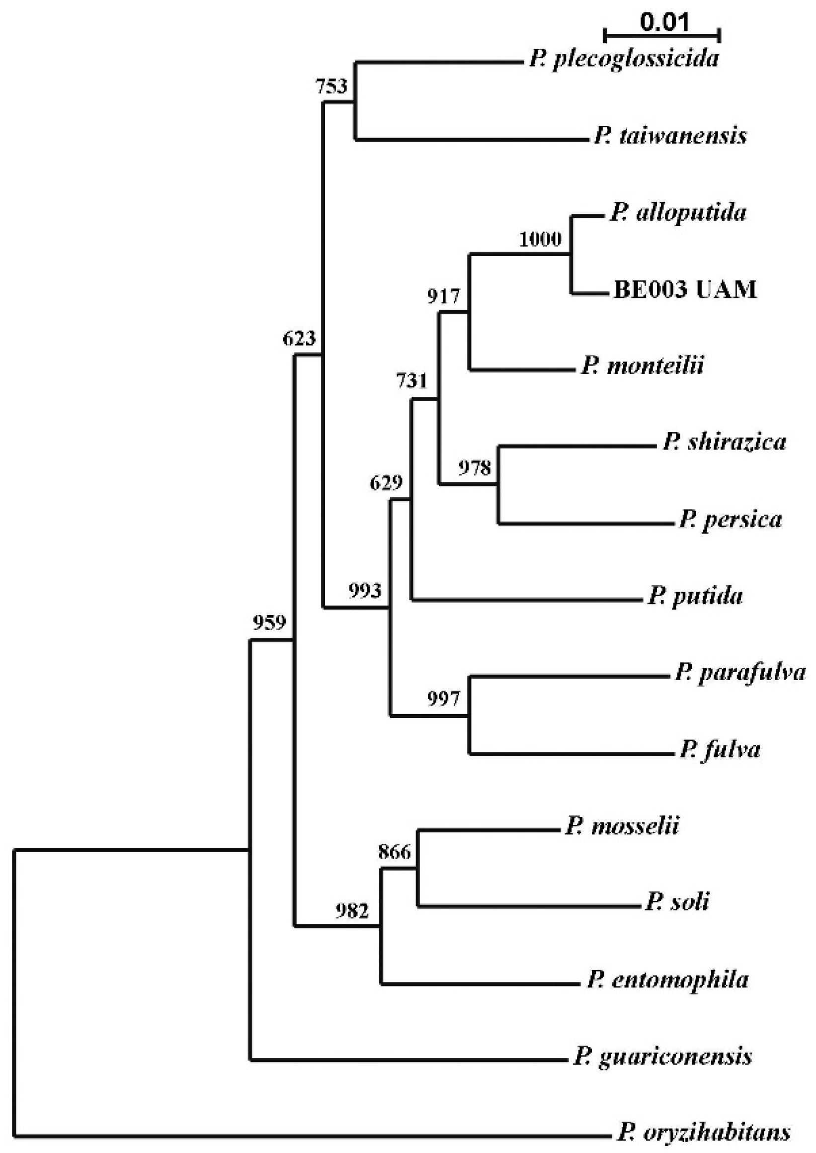 Molecules 27 07589 g001 Molecules 27 07589 g001
