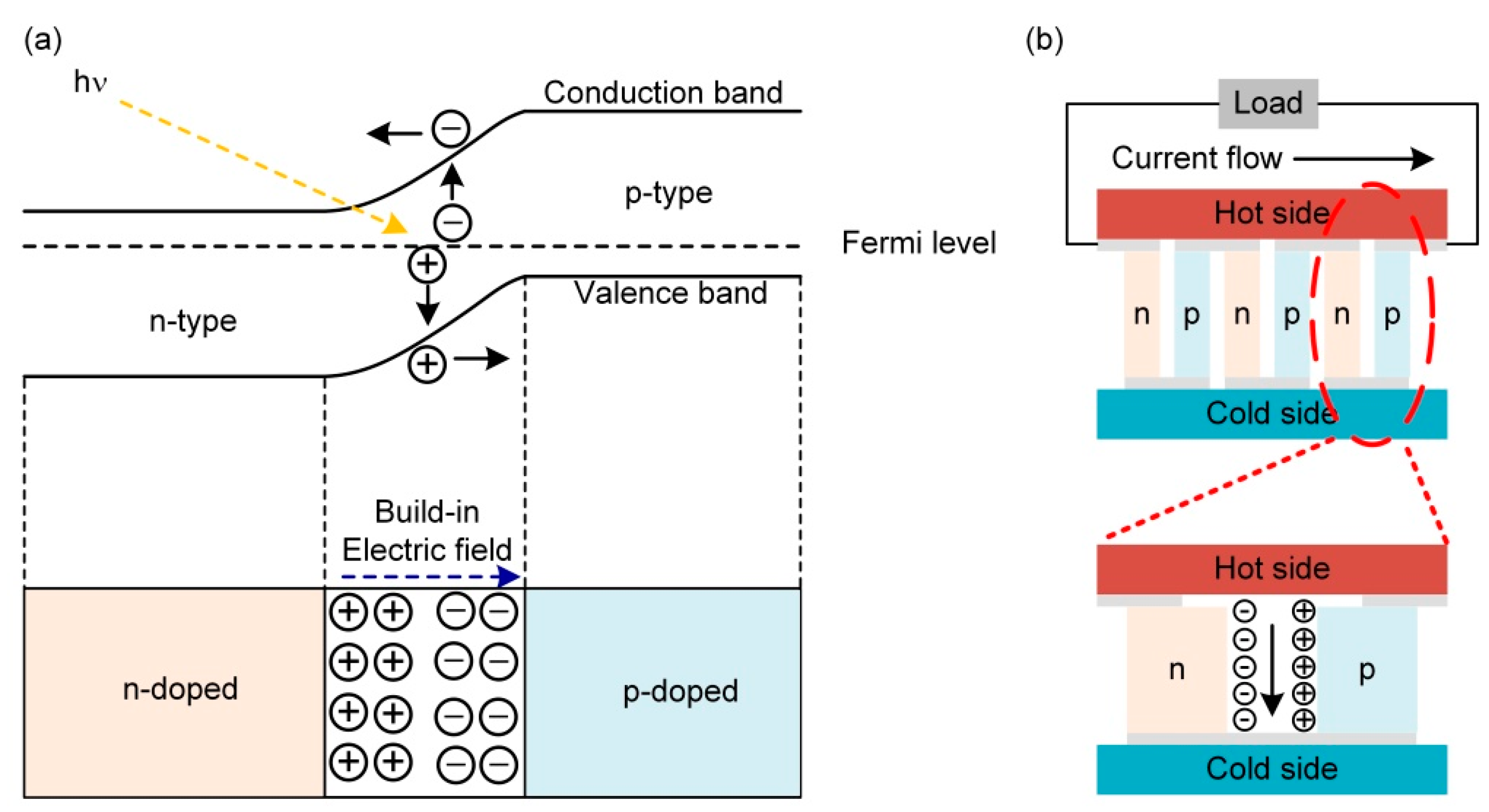 Molecules 27 07590 g002
