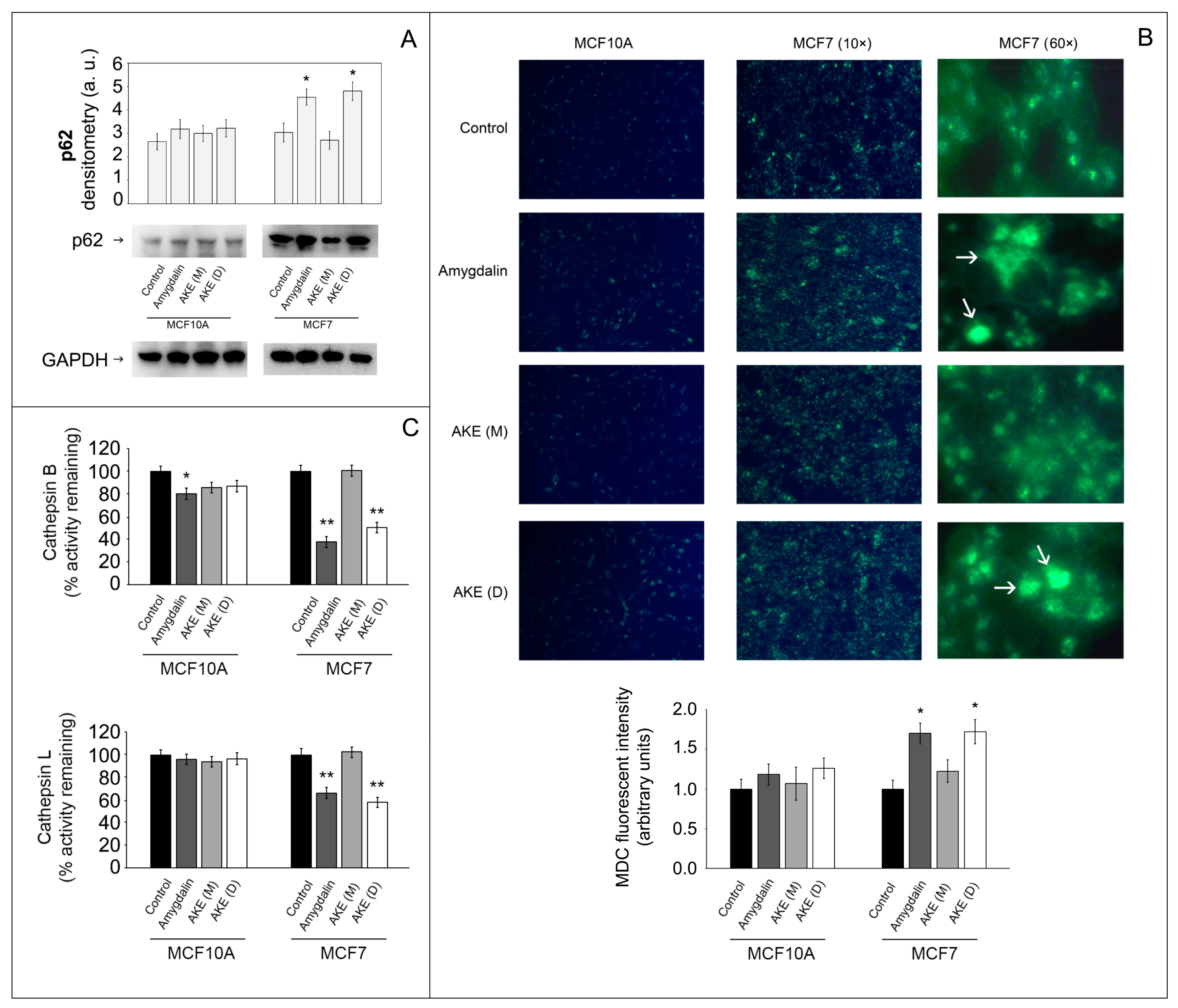 Molecules 27 07591 g005