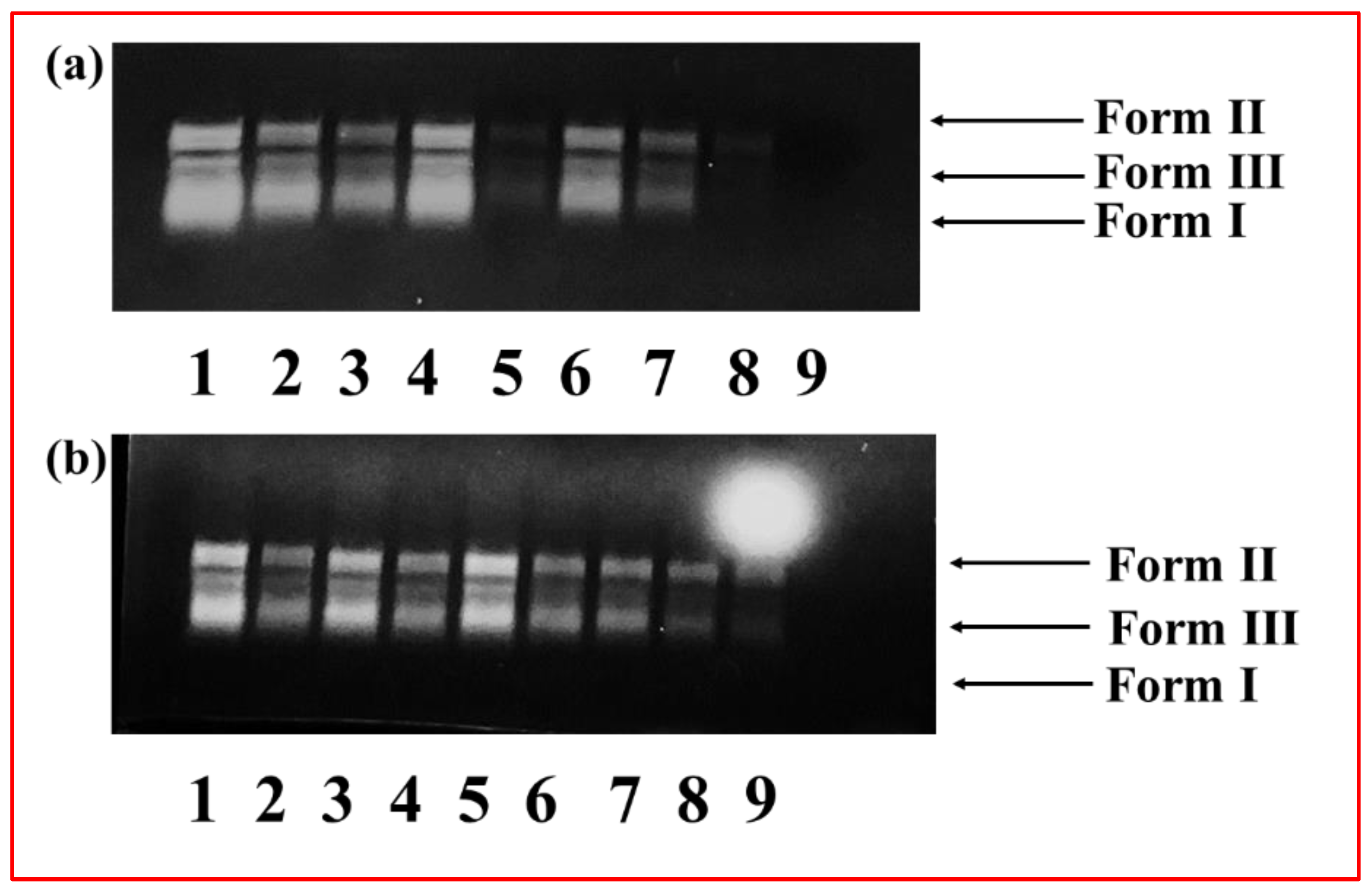 Molecules 27 07592 g011