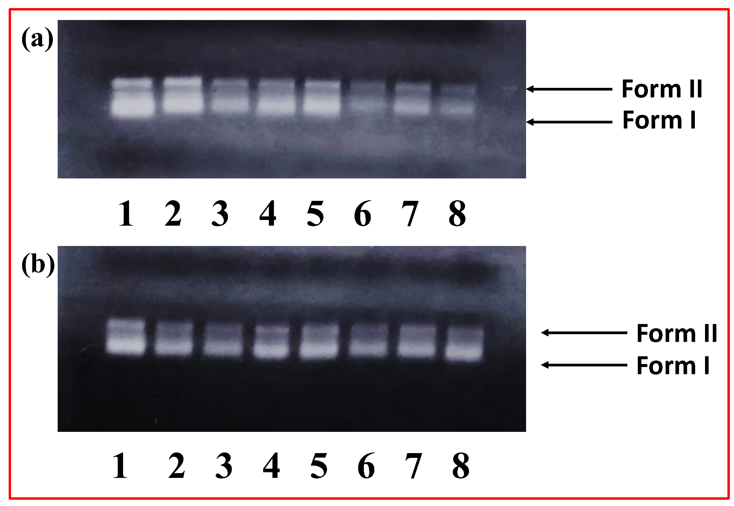 Molecules 27 07592 g012
