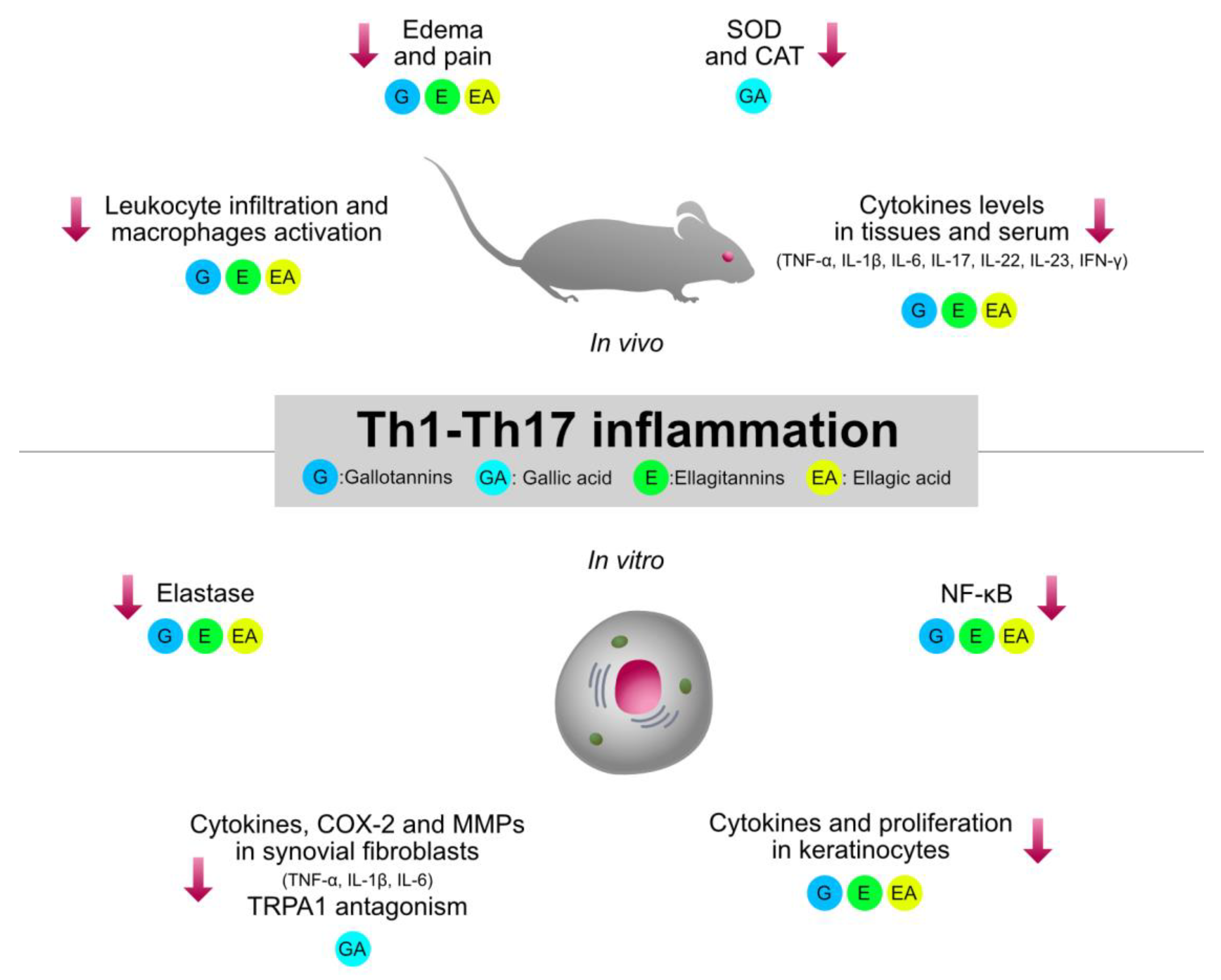 Molecules 27 07593 g003