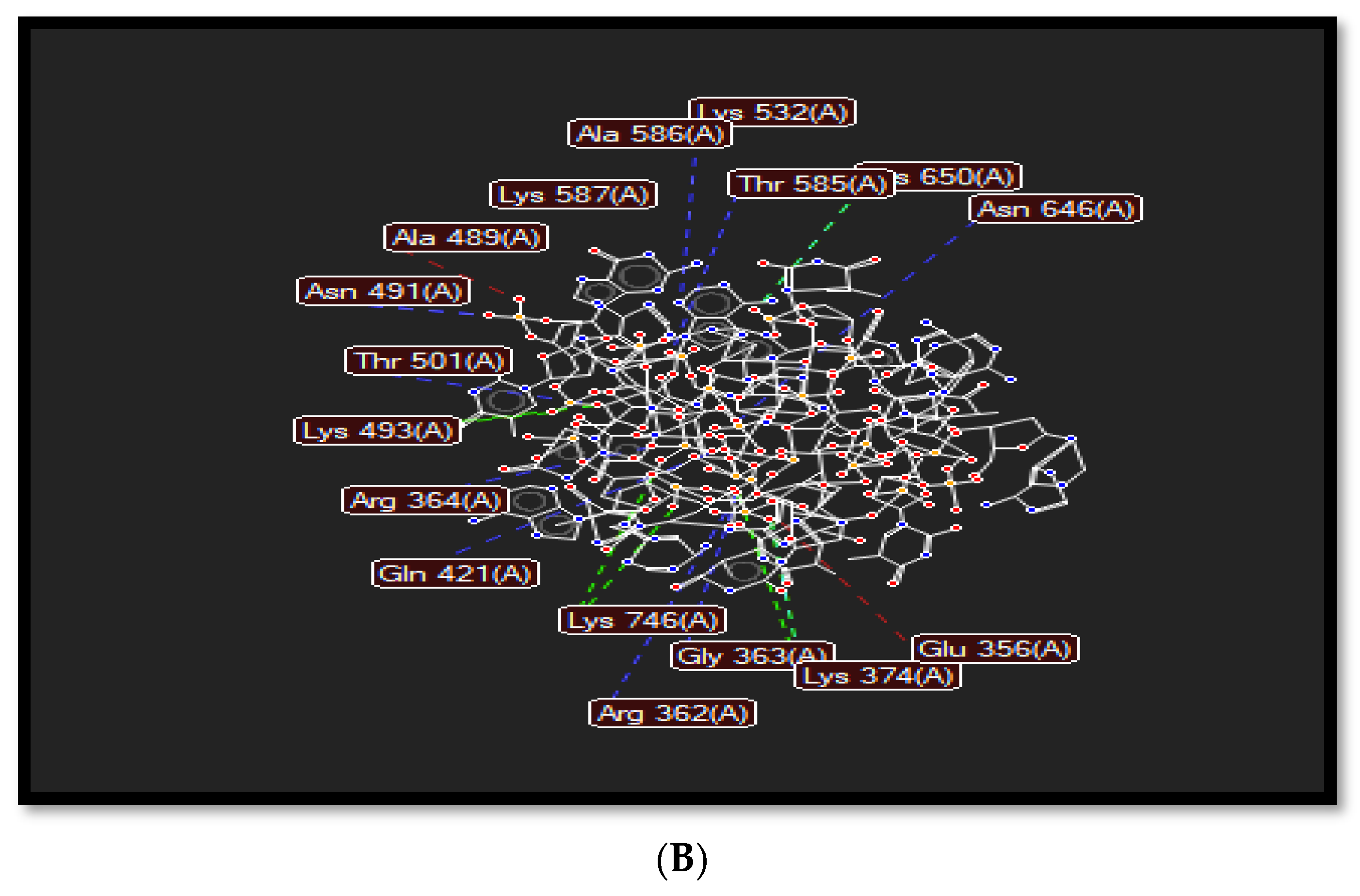 Molecules 27 07599 g003b