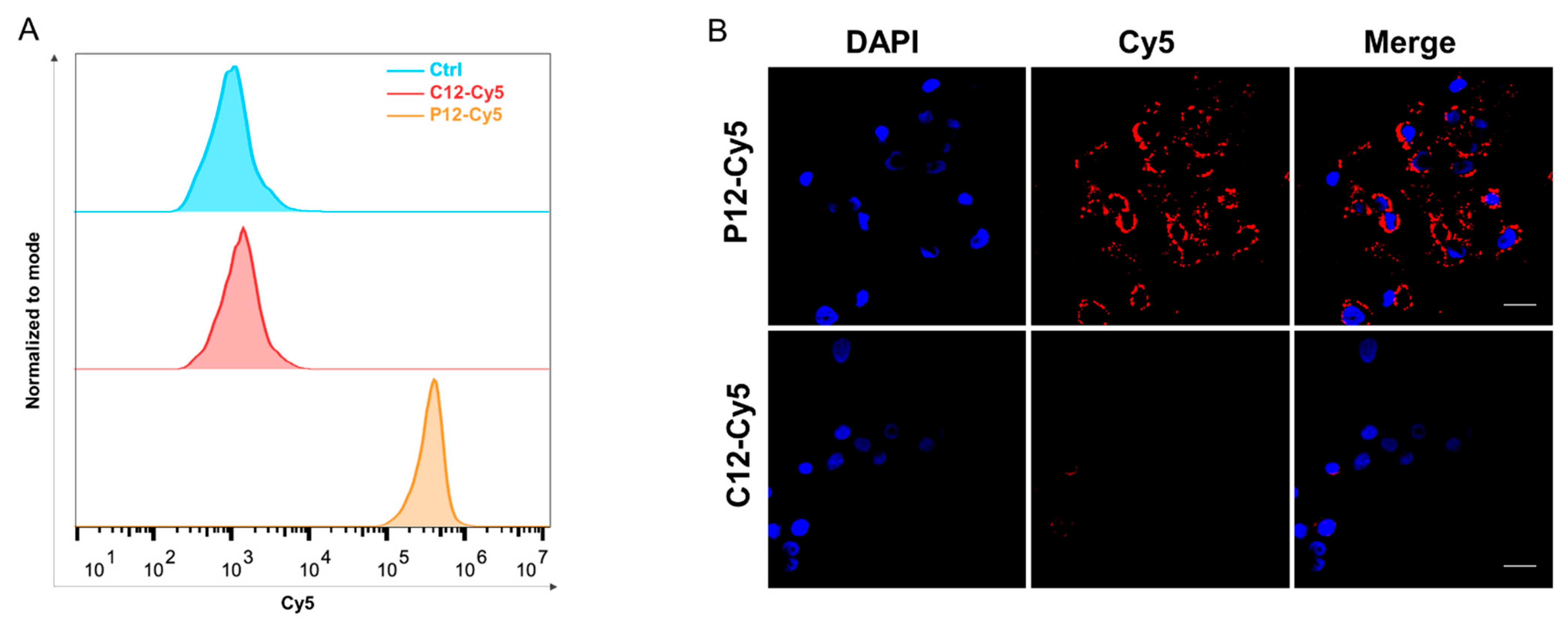 Molecules 27 07609 g004