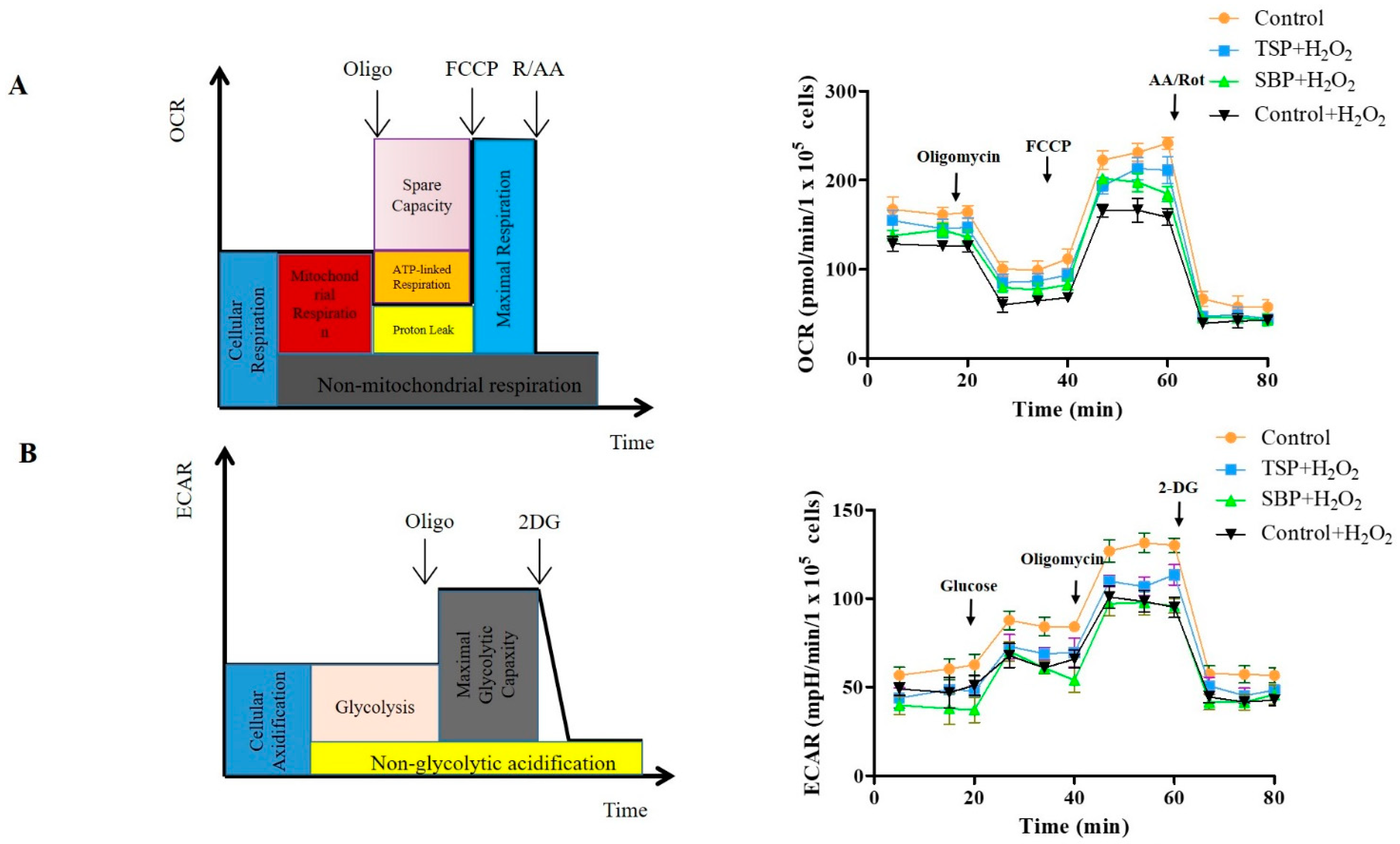 Molecules 27 07610 g003a