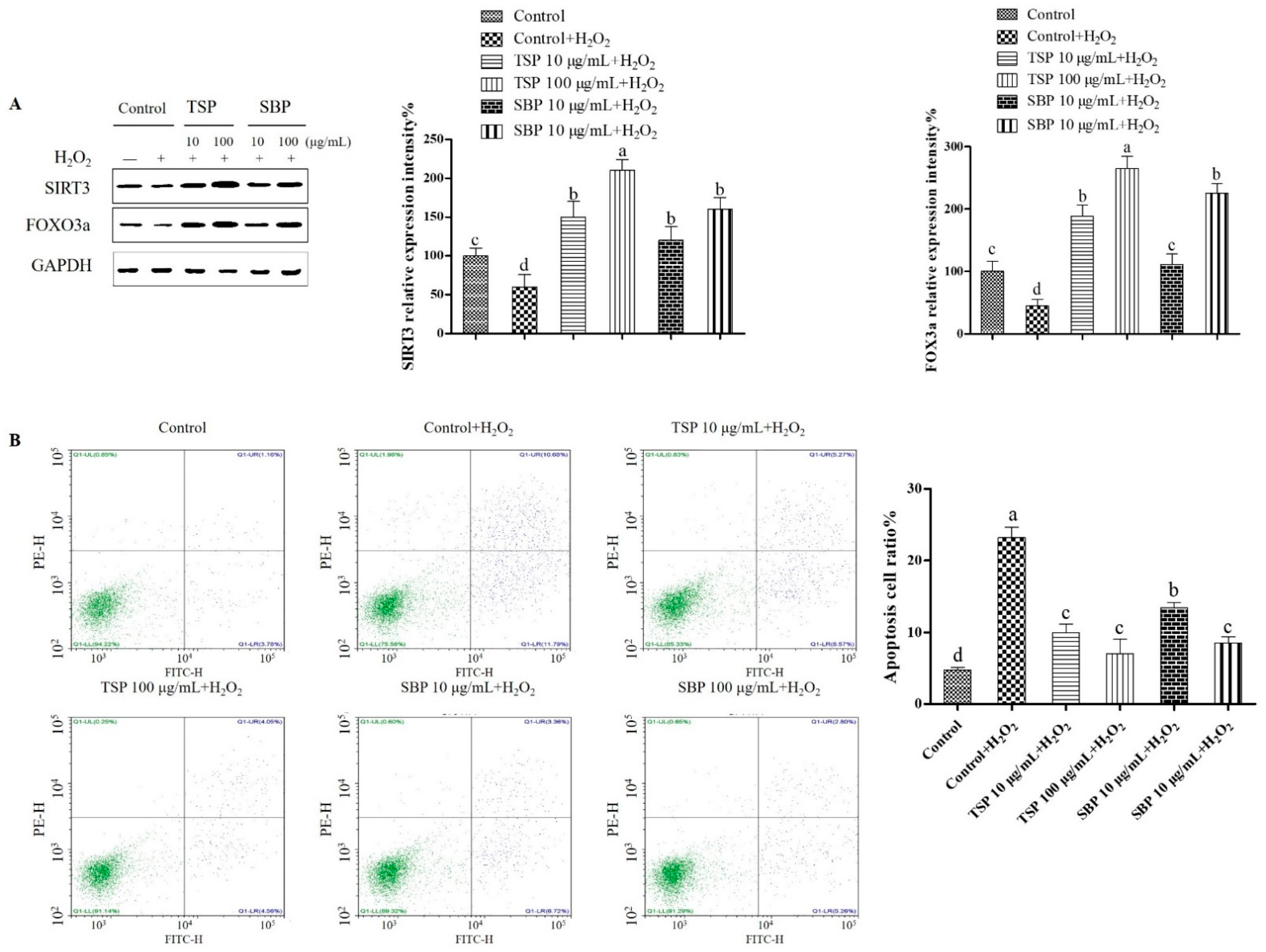 Molecules 27 07610 g004
