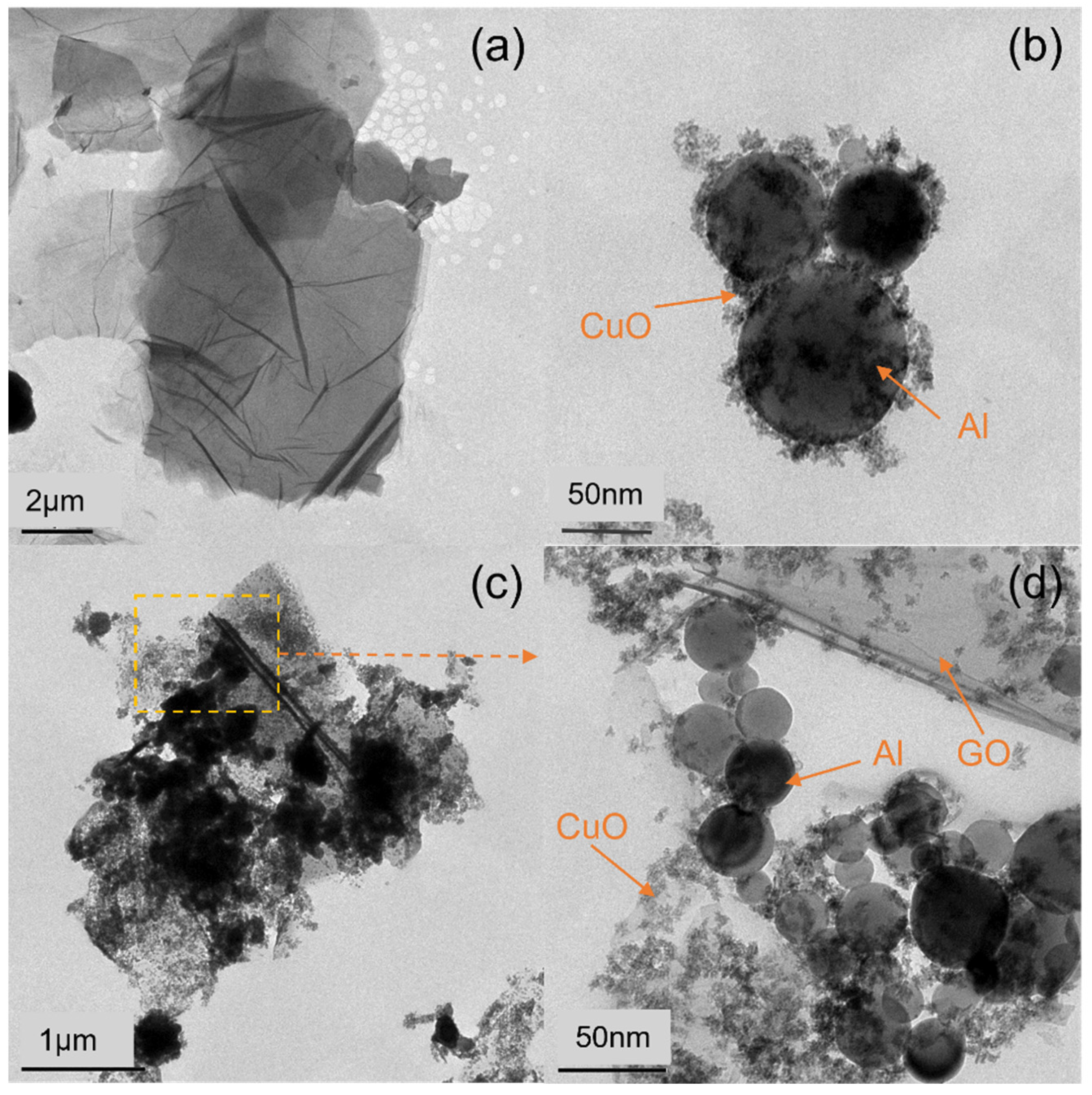 Molecules 27 07614 g004