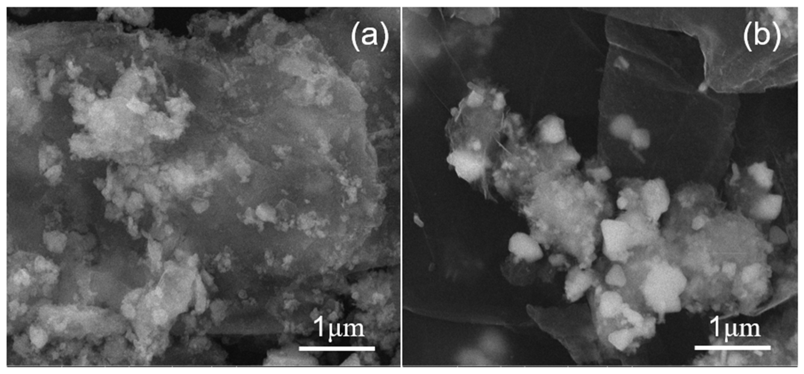 Molecules 27 07614 g012