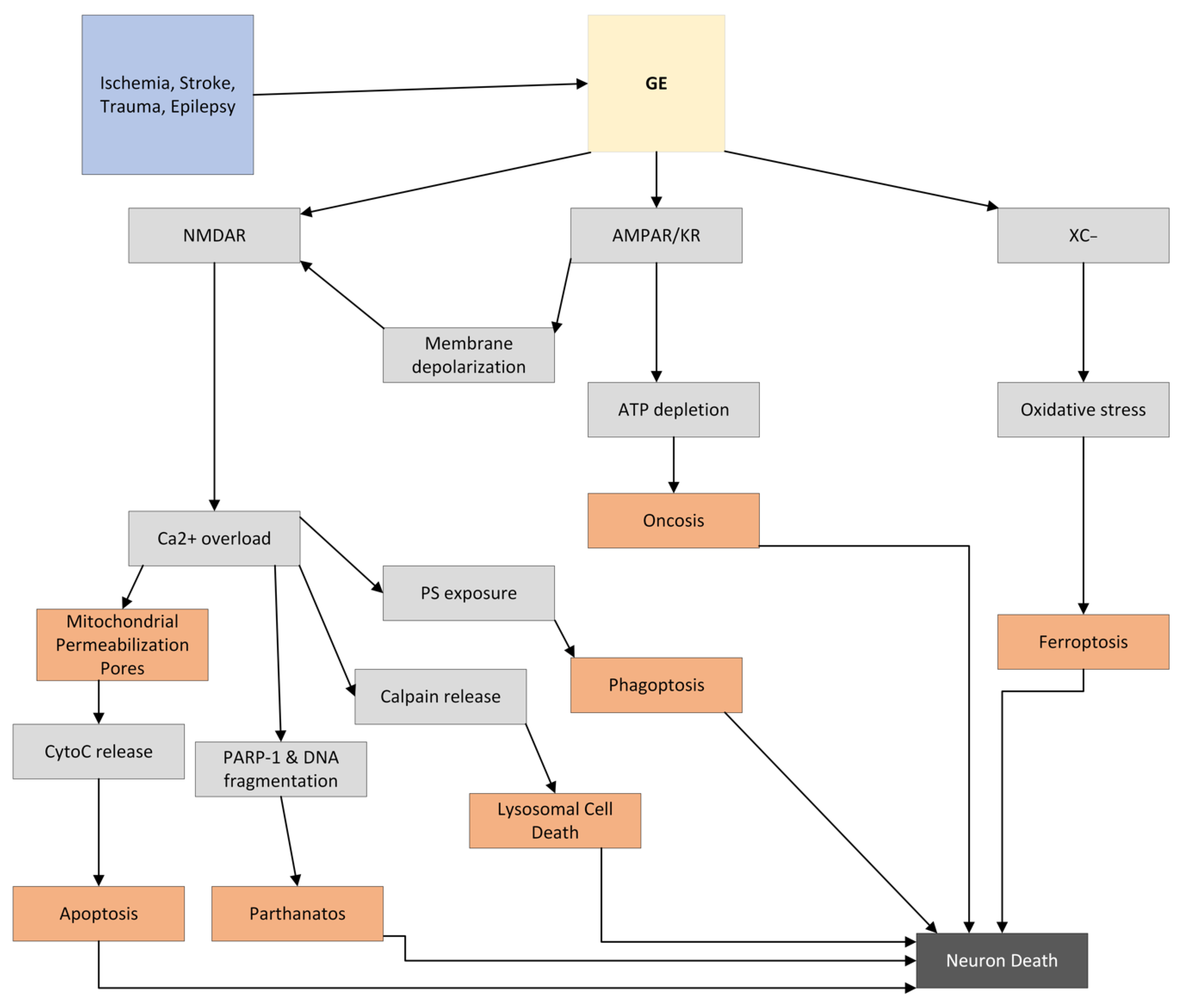 Molecules 27 07620 g002