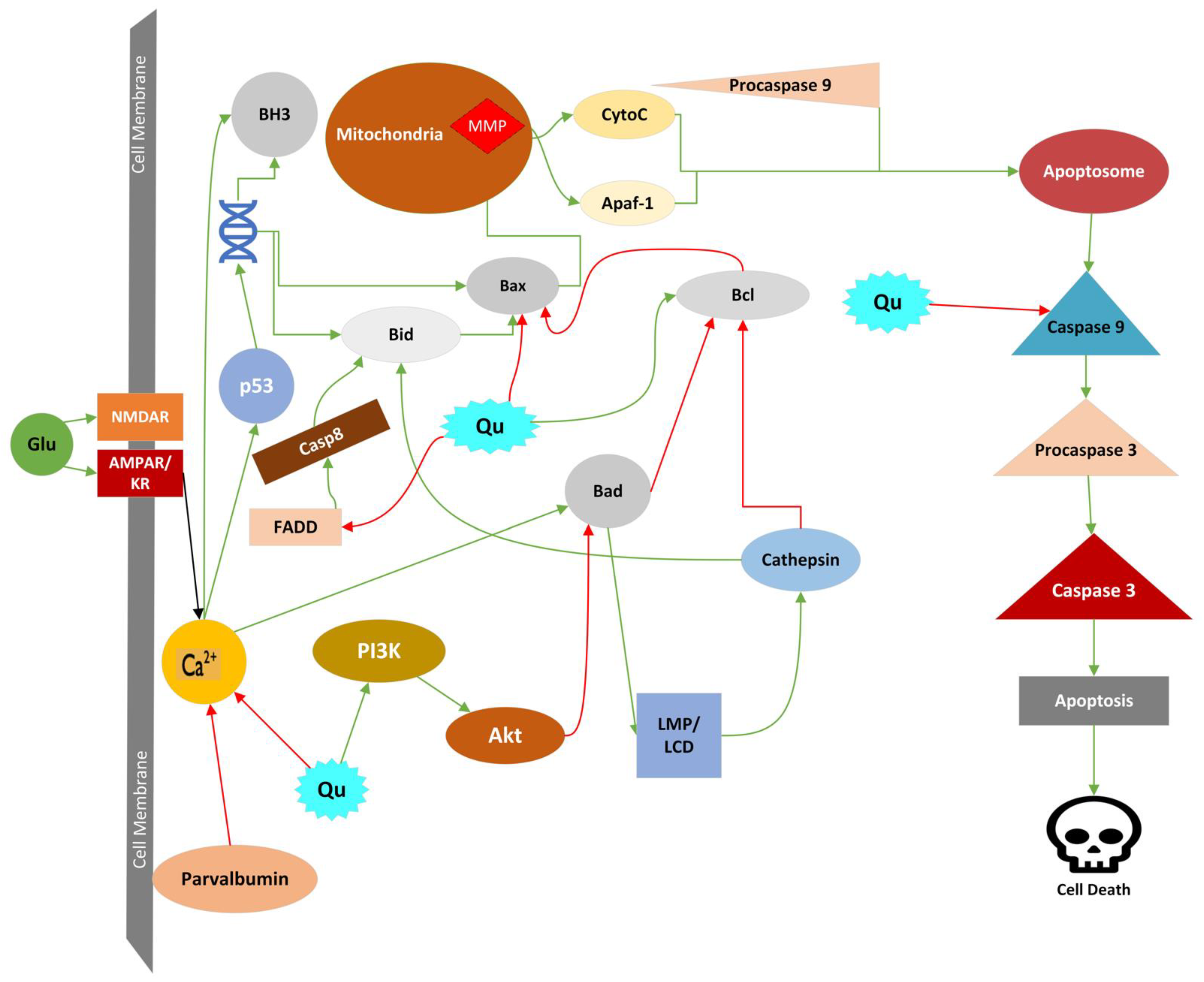 Molecules 27 07620 g004