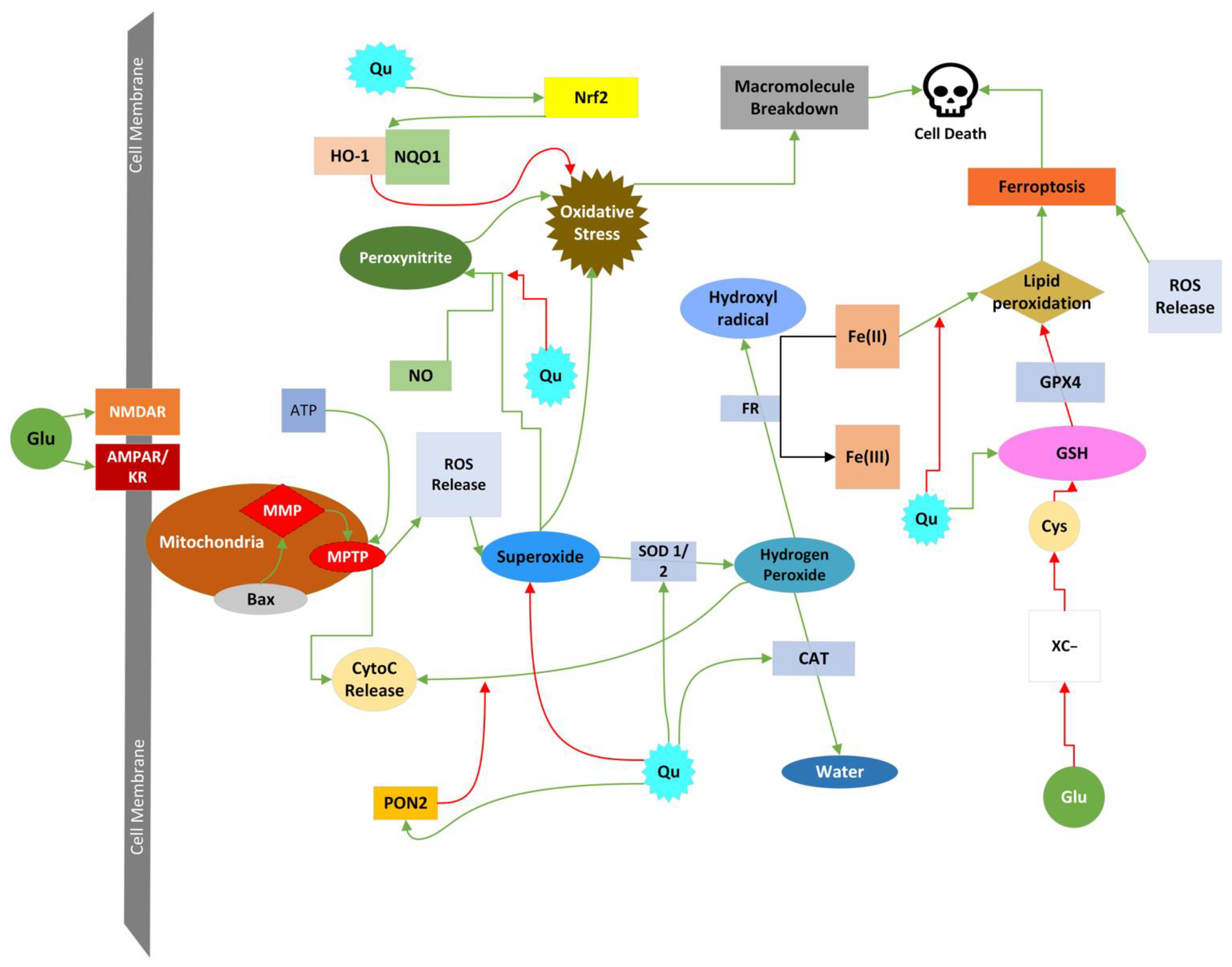 Molecules 27 07620 g005