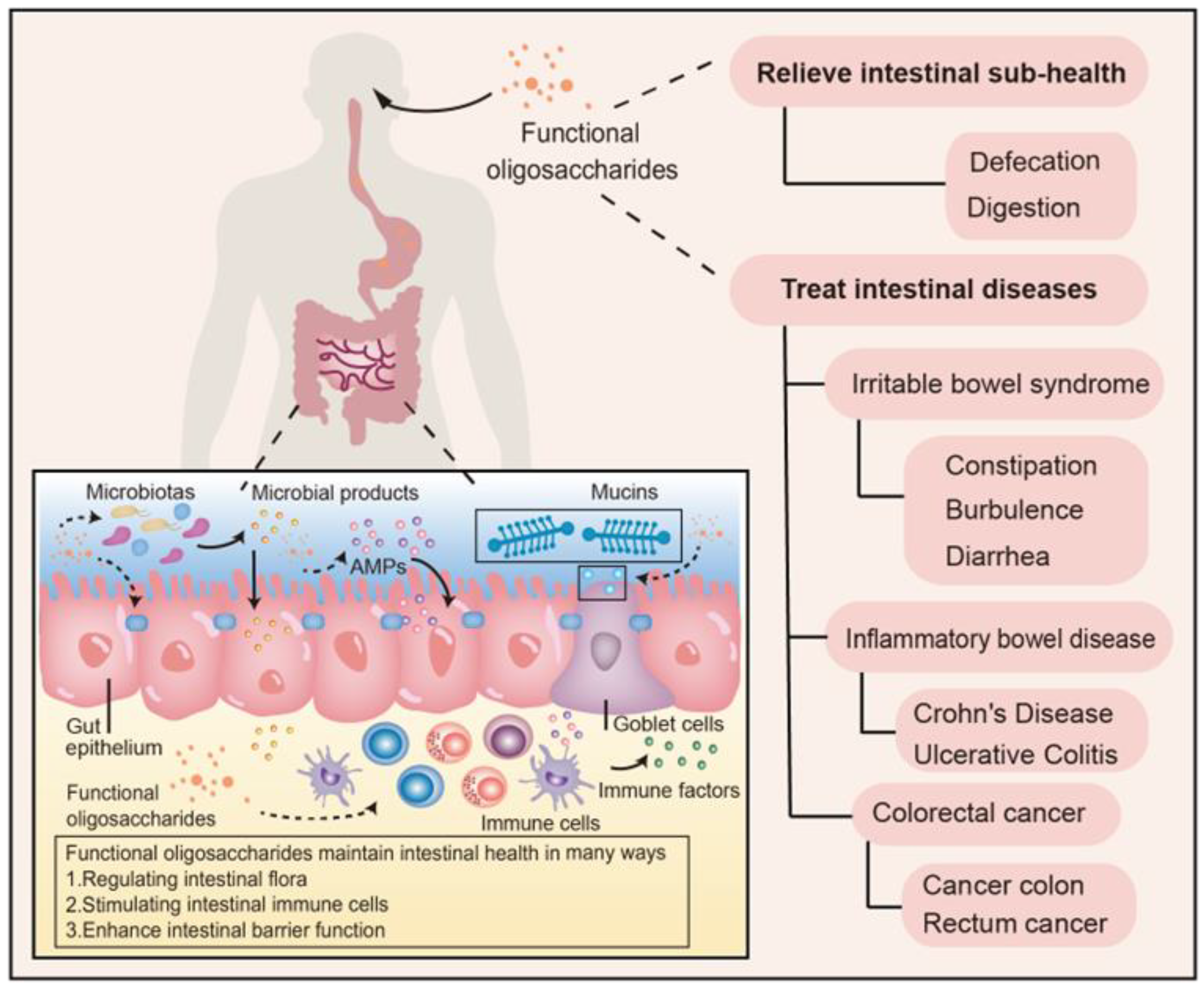 Molecules 27 07622 g001