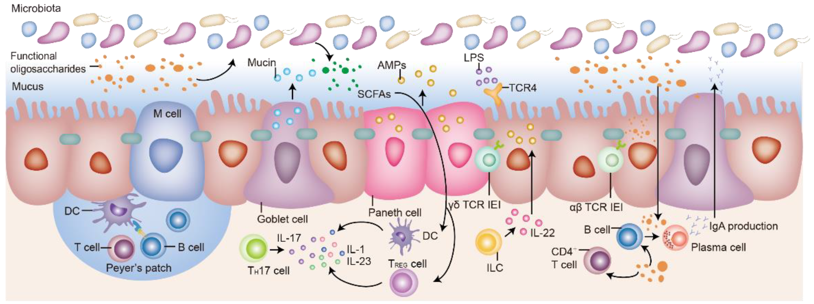 Molecules 27 07622 g003