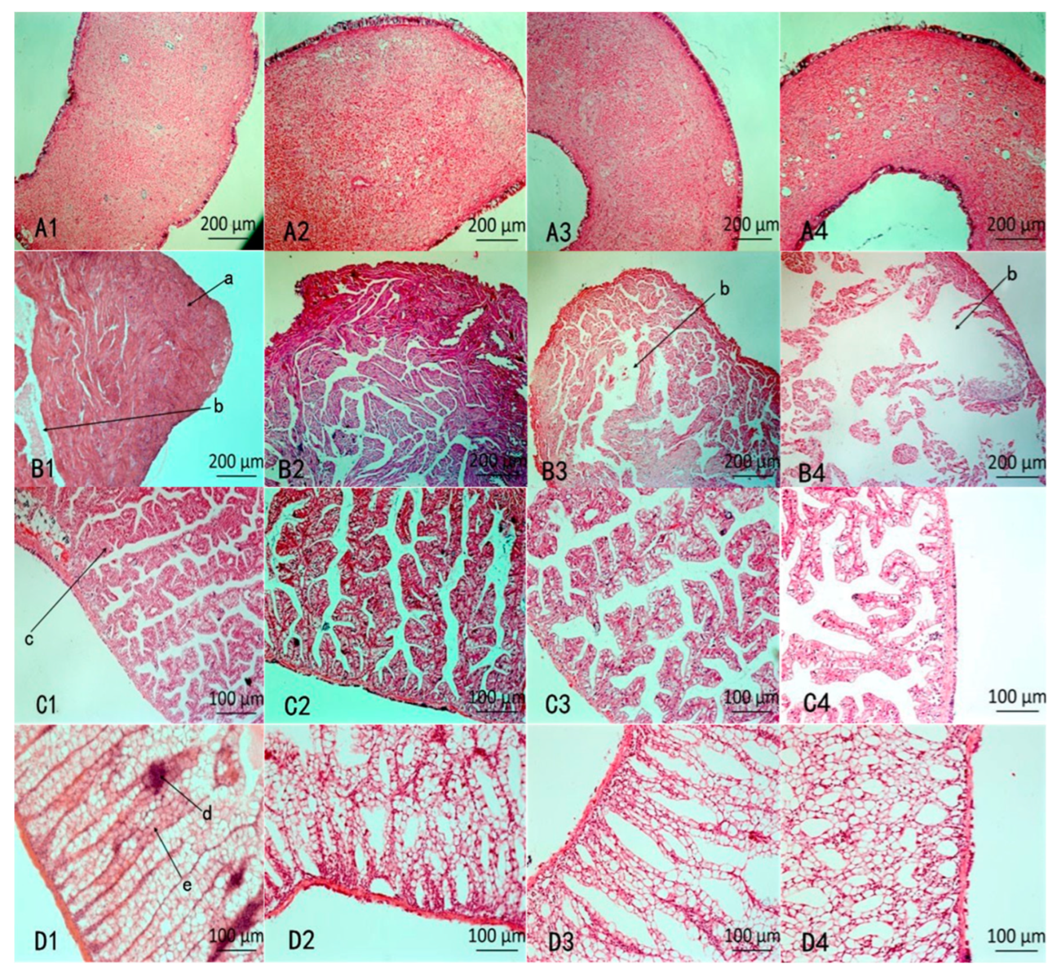 Molecules 27 07623 g004