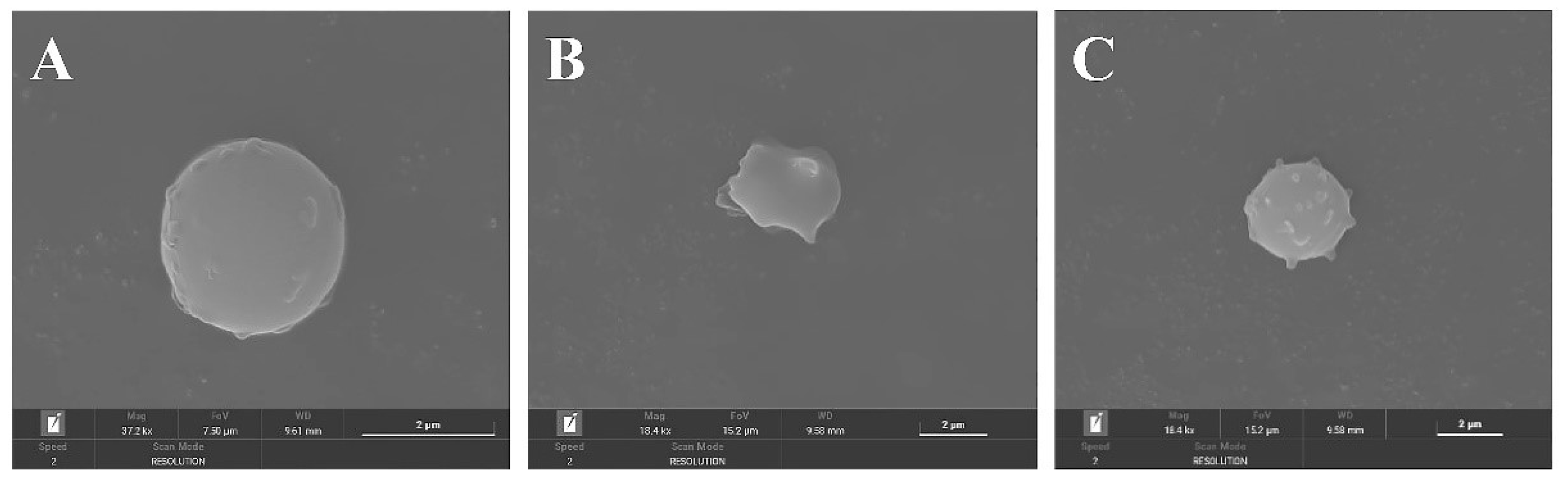 Molecules 27 07625 g010