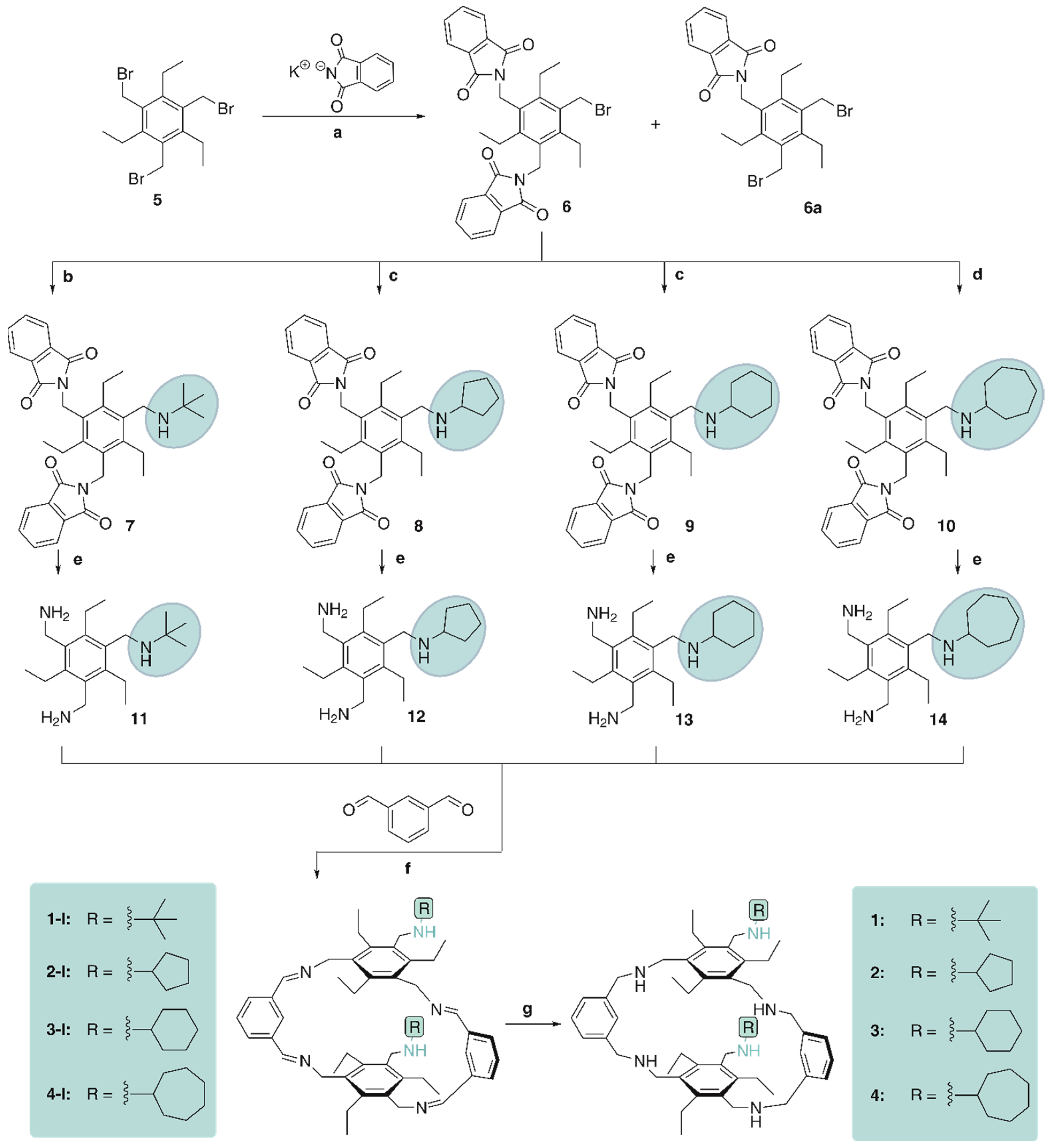 Molecules 27 07630 sch001 Molecules 27 07630 sch001