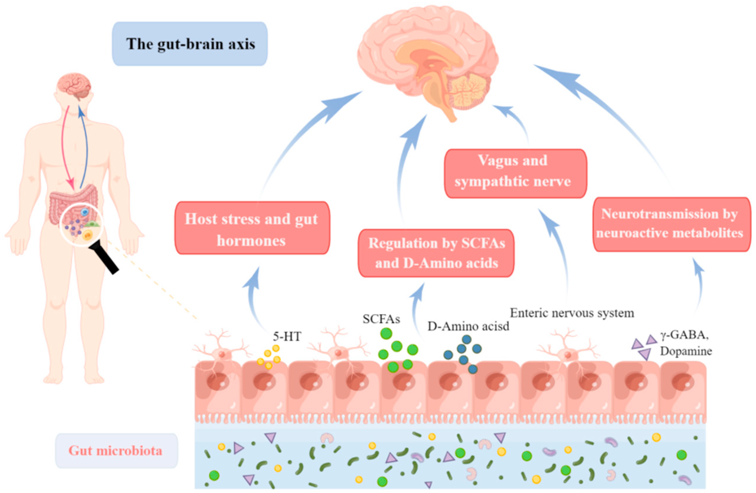Molecules 27 07637 g002