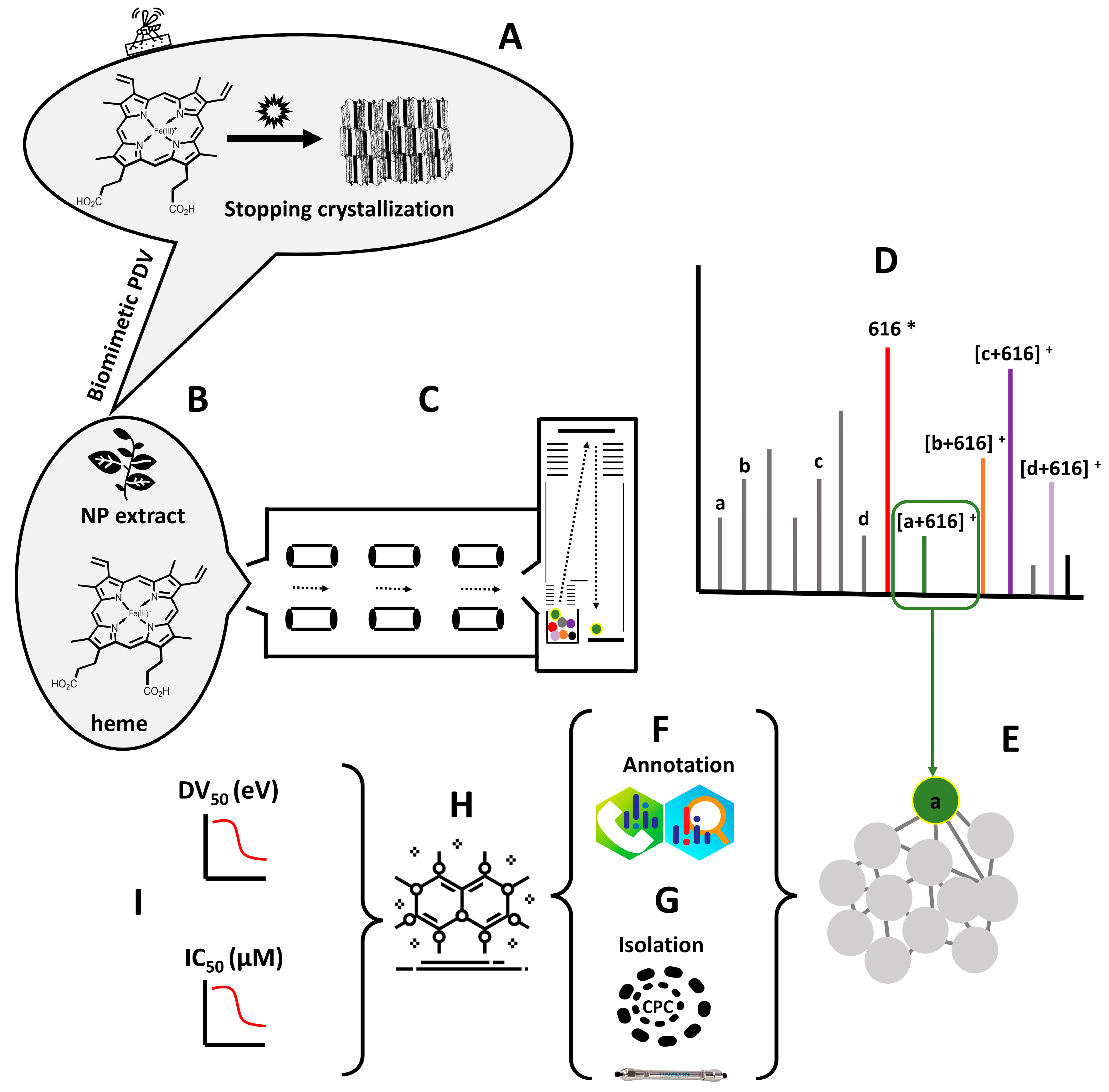 Molecules 27 07638 g001