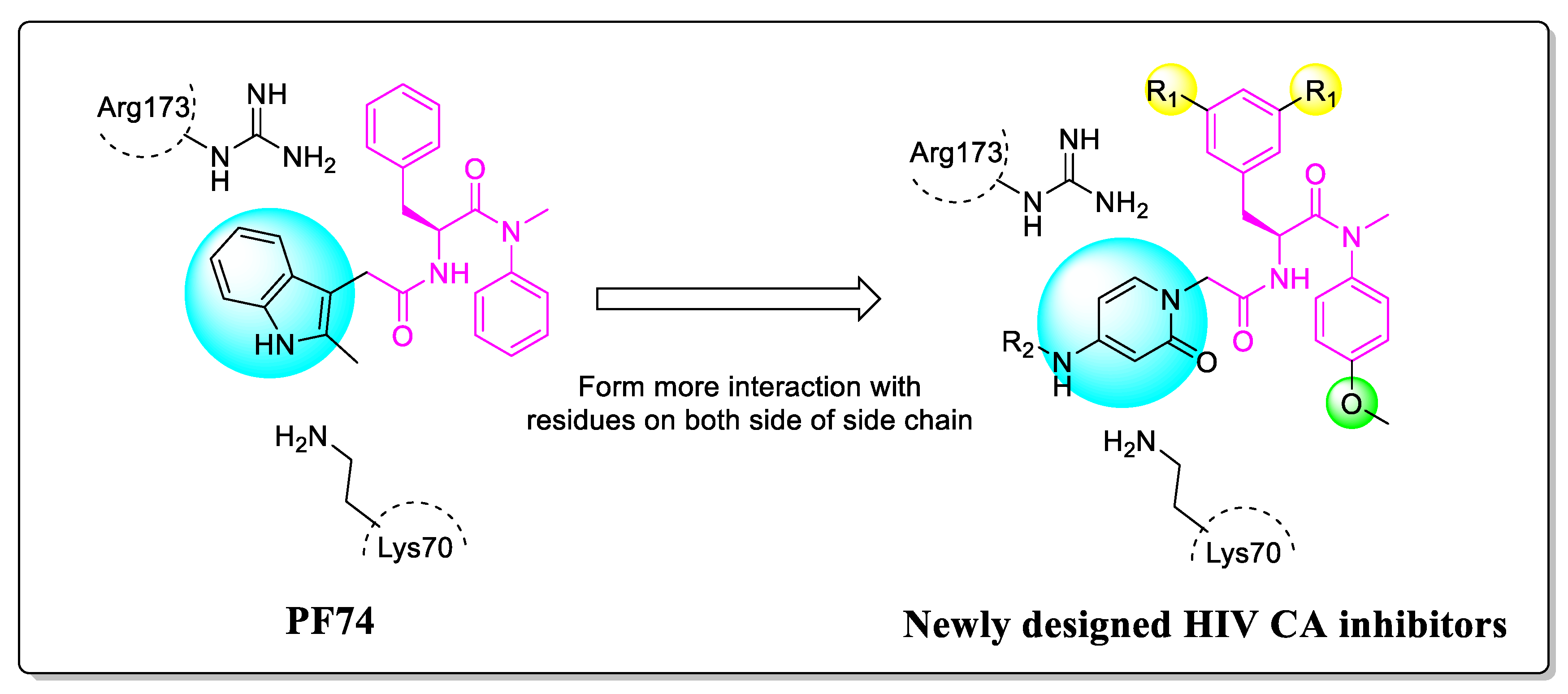 Molecules 27 07640 g003