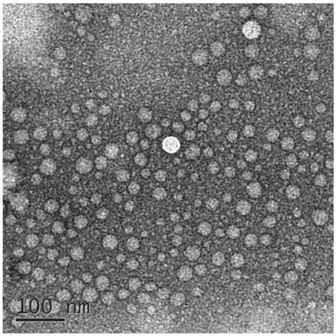 Molecules 27 07644 g001