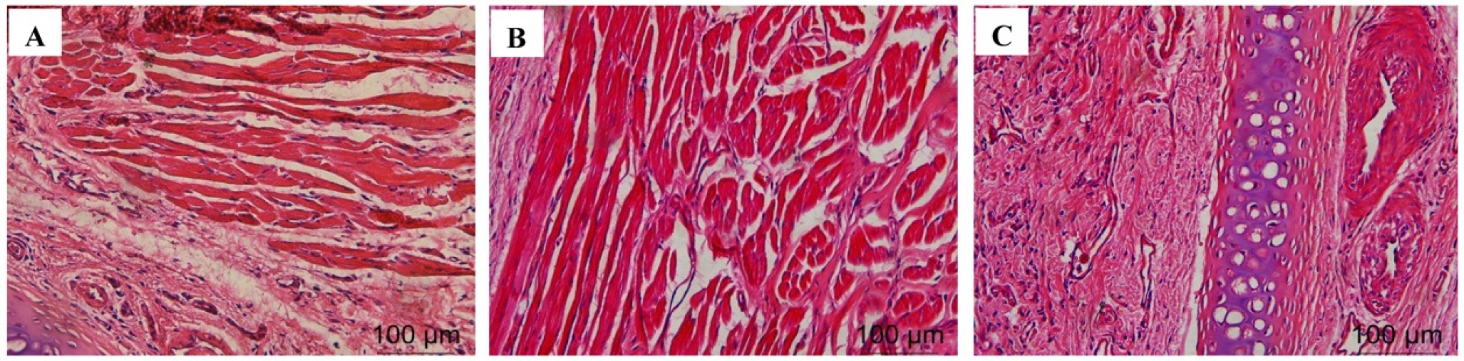 Molecules 27 07644 g002