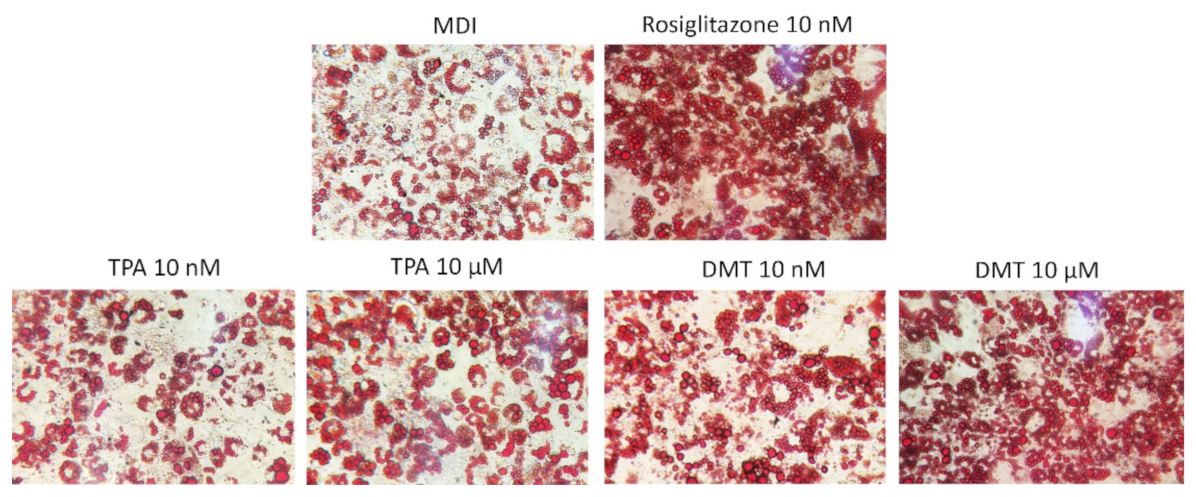 Molecules 27 07645 g002