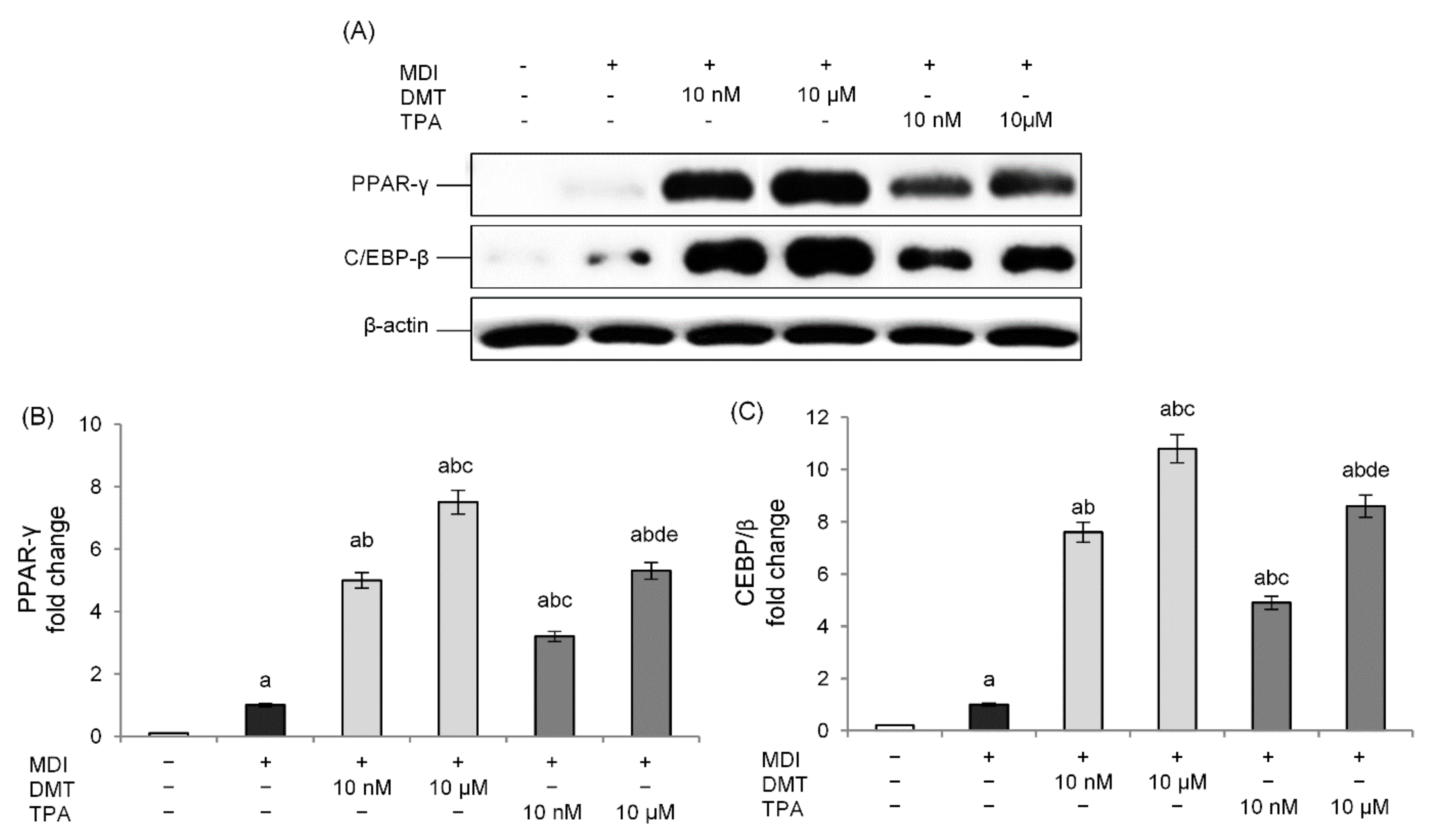 Molecules 27 07645 g003