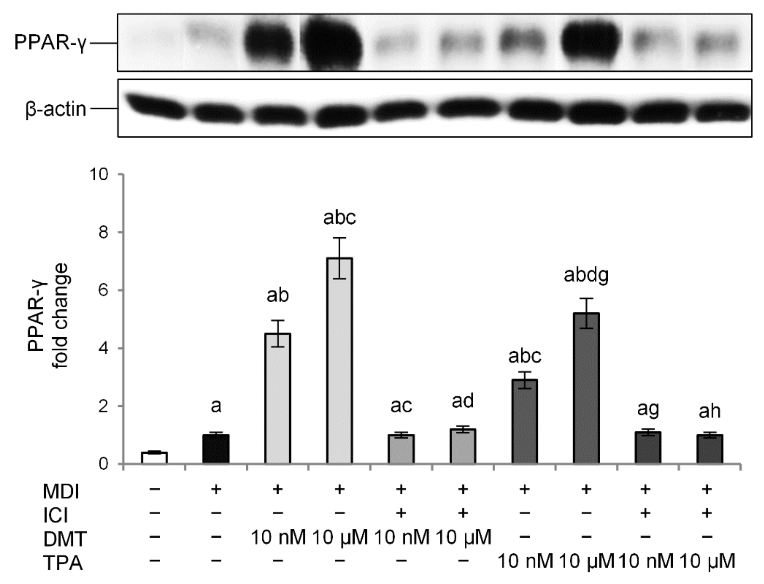Molecules 27 07645 g005