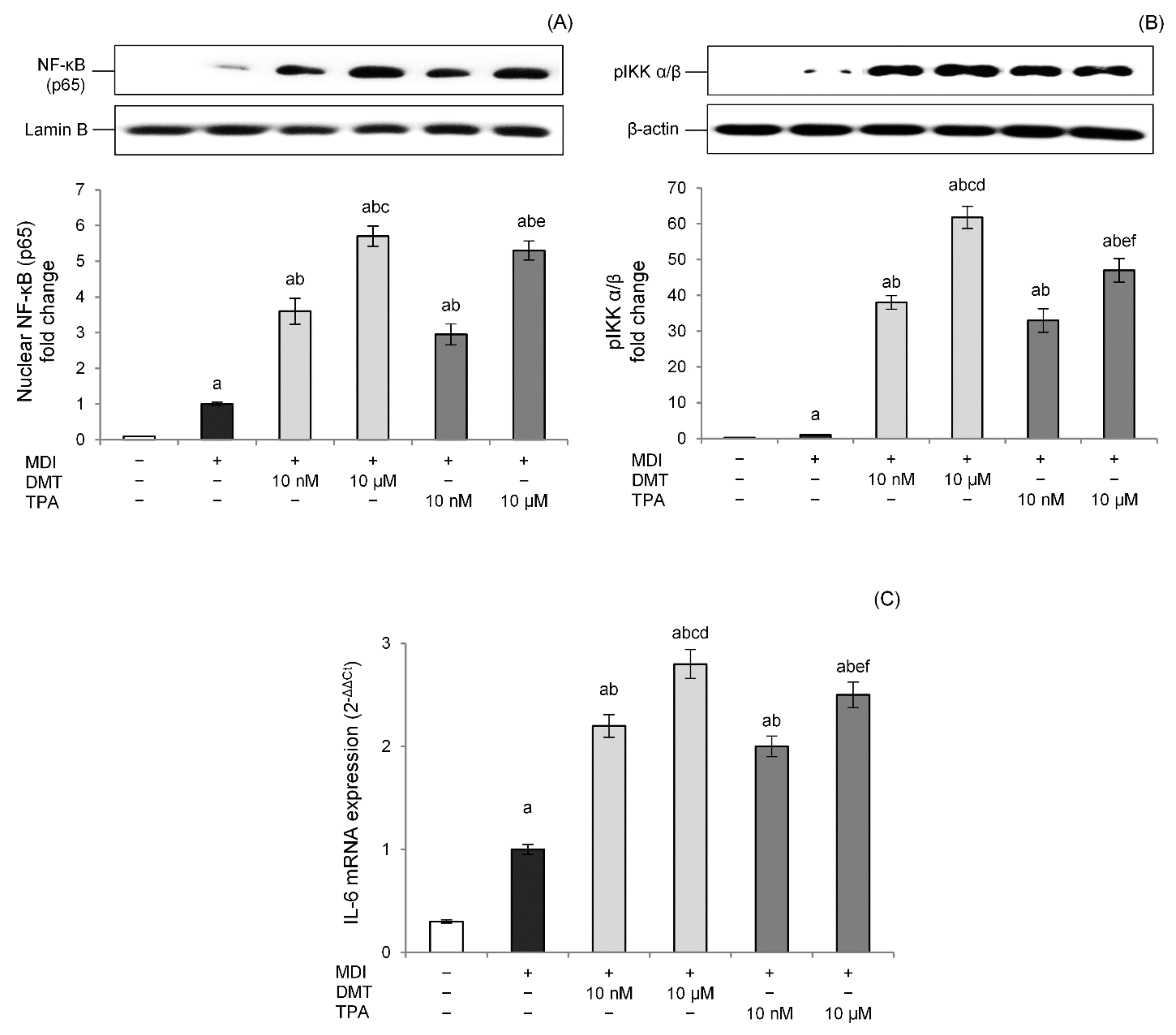 Molecules 27 07645 g007