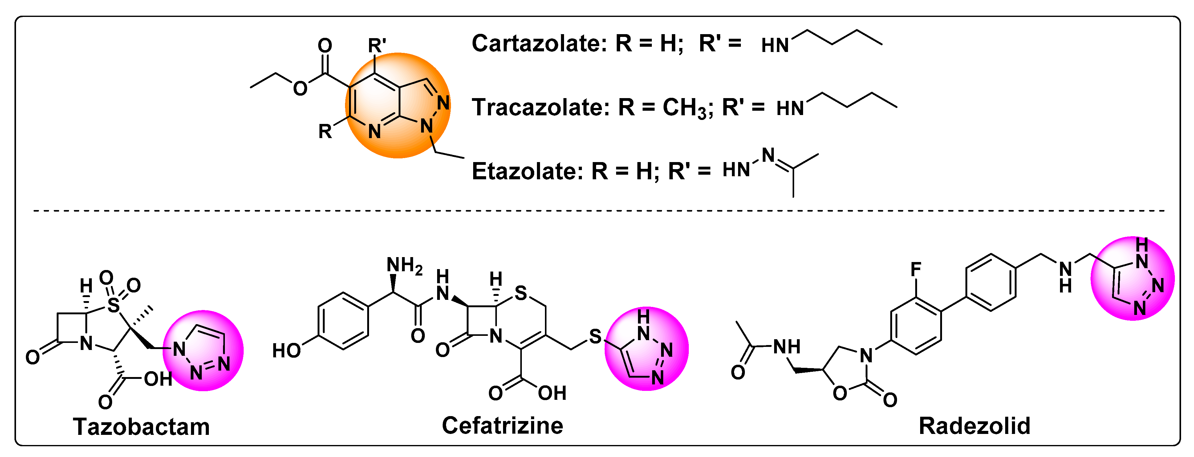 Molecules 27 07647 g001