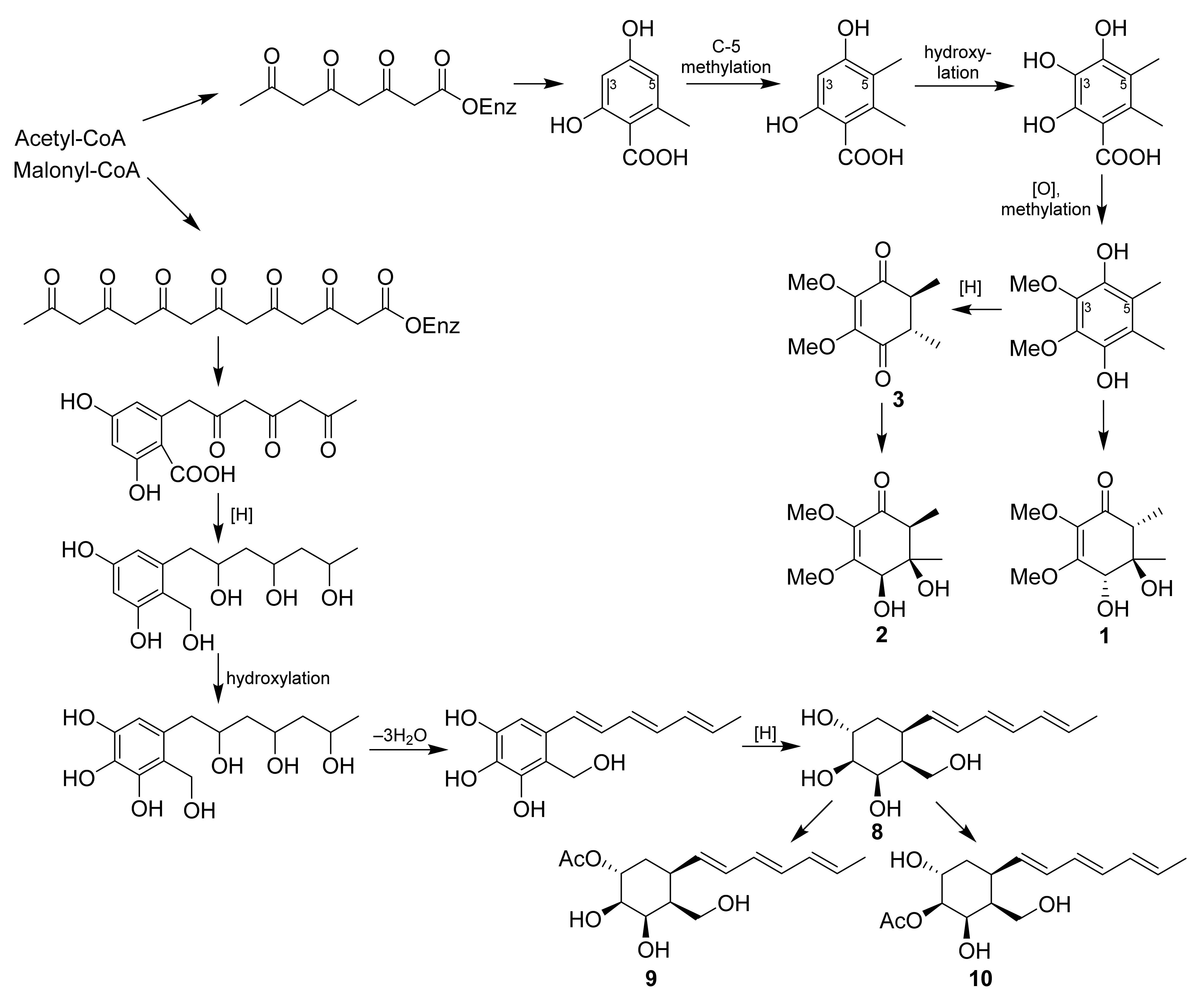 Molecules 27 07650 g007