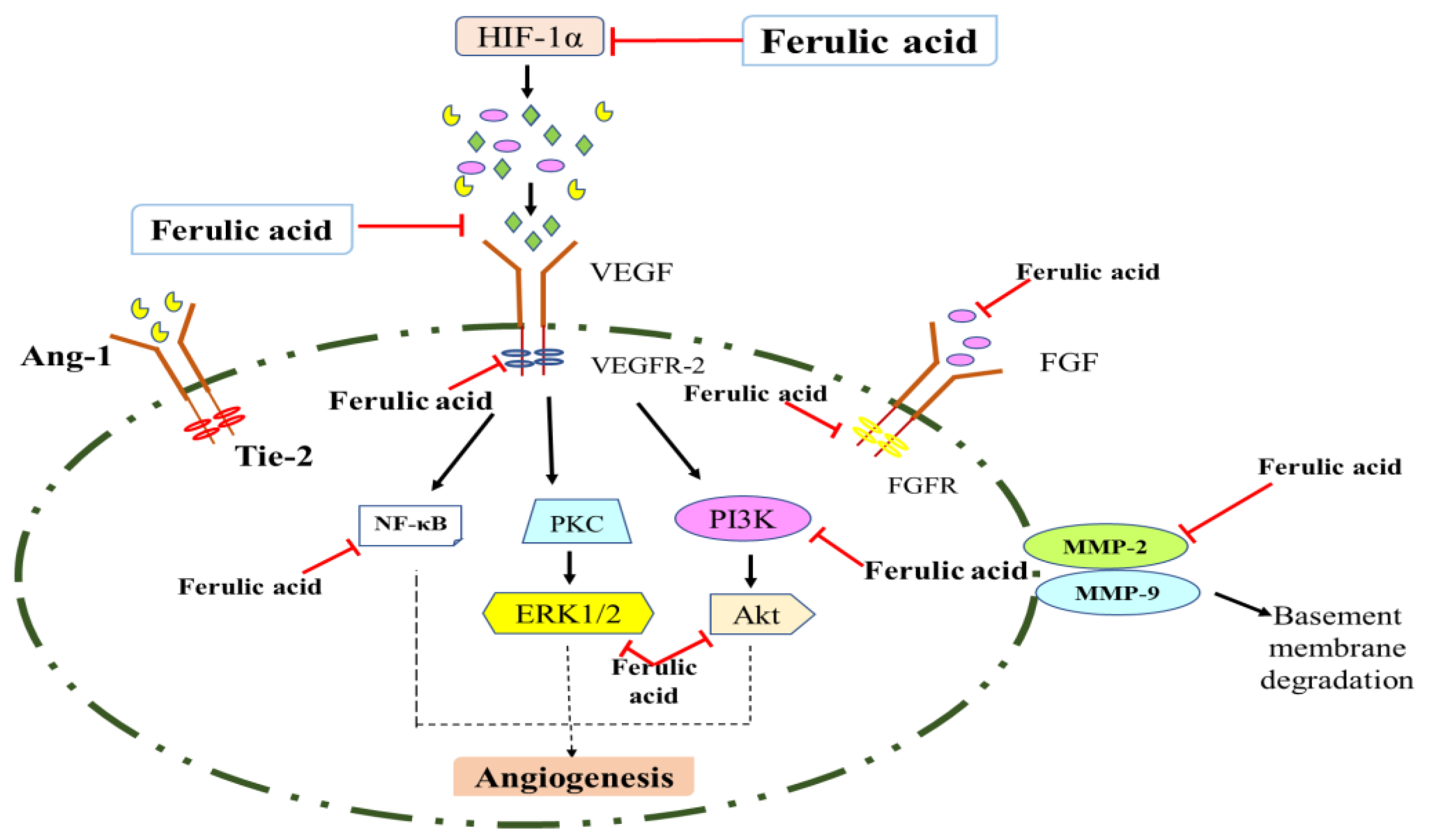 Molecules 27 07653 g003
