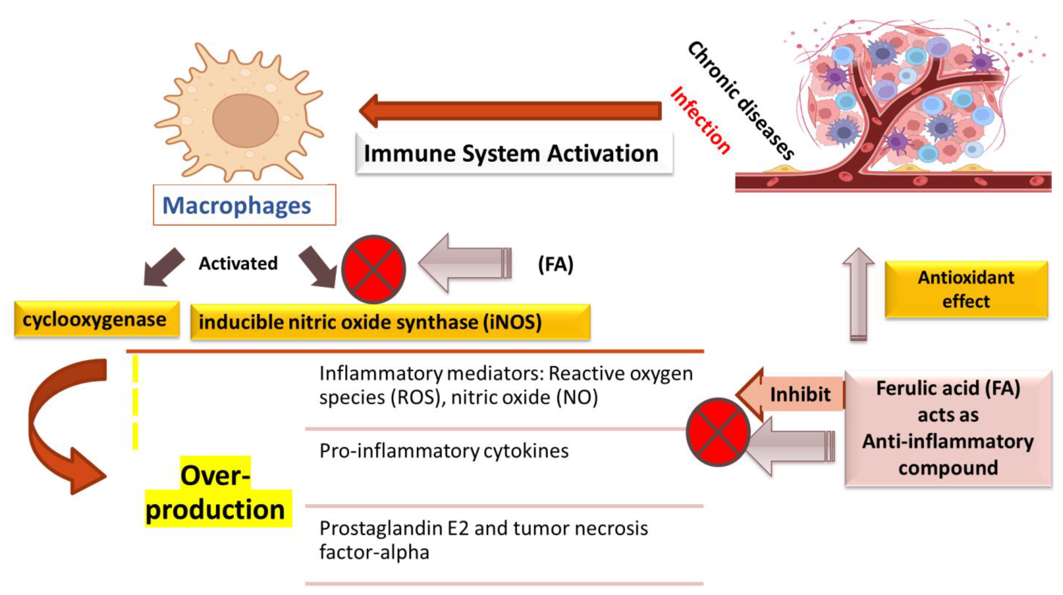 Molecules 27 07653 g004