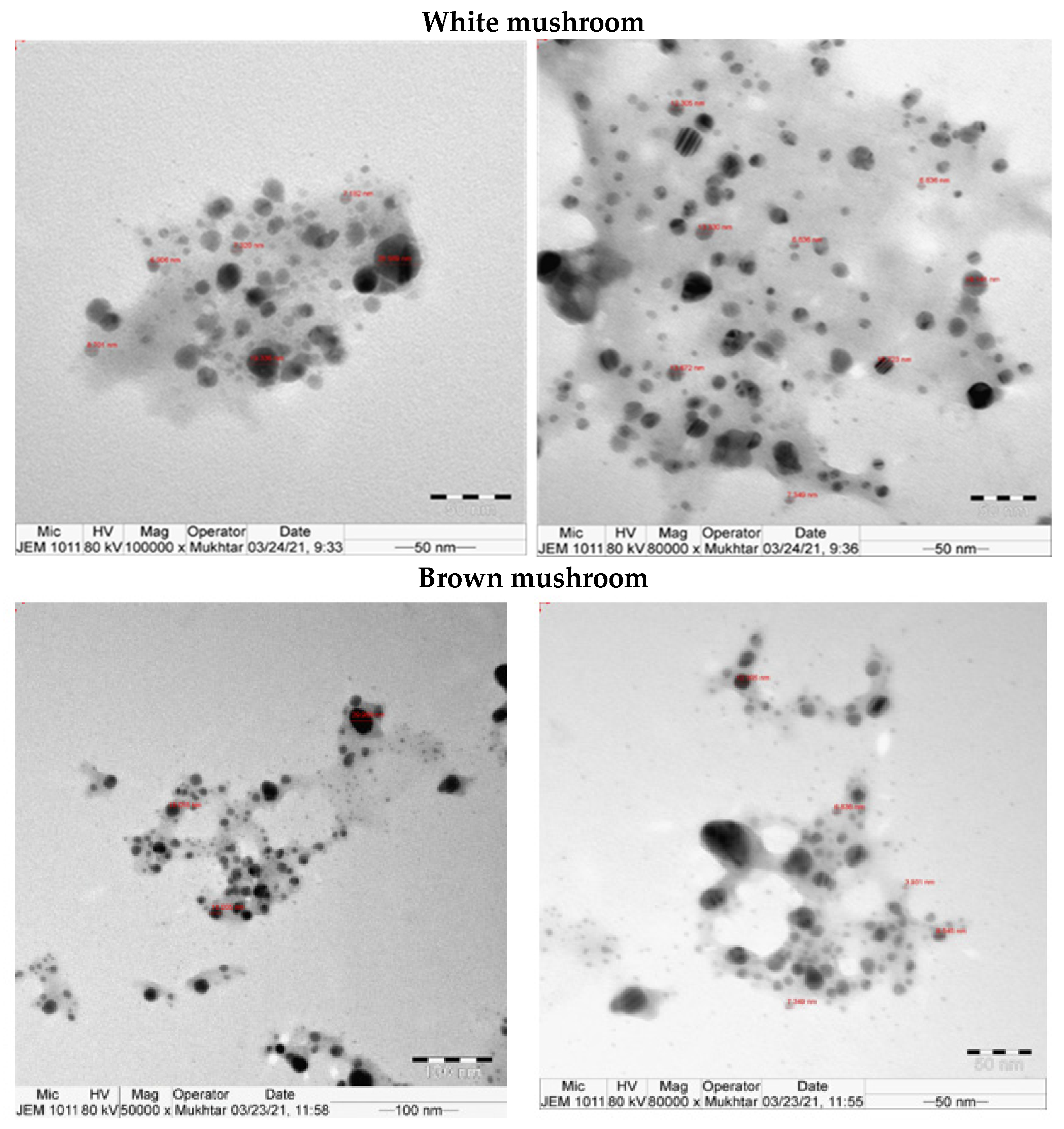 Molecules 27 07656 g003