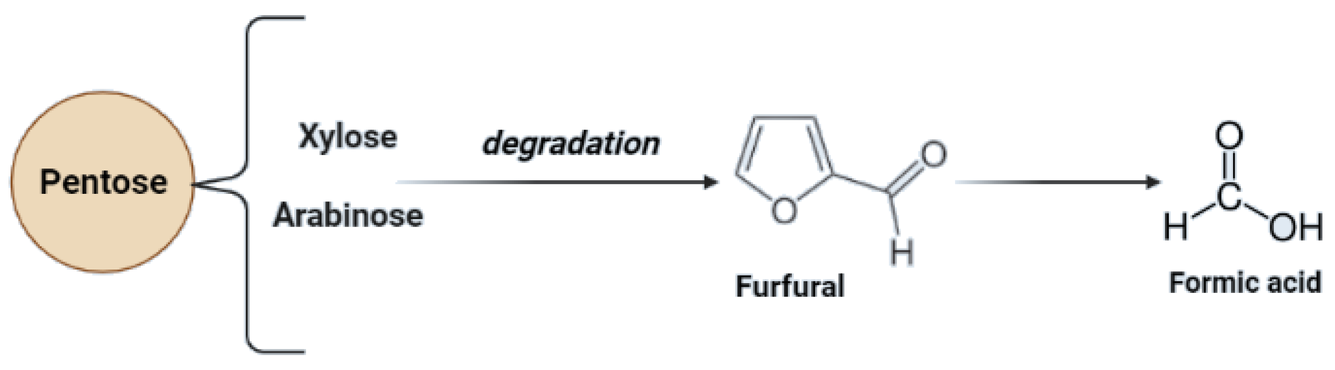 Molecules 27 07658 g004