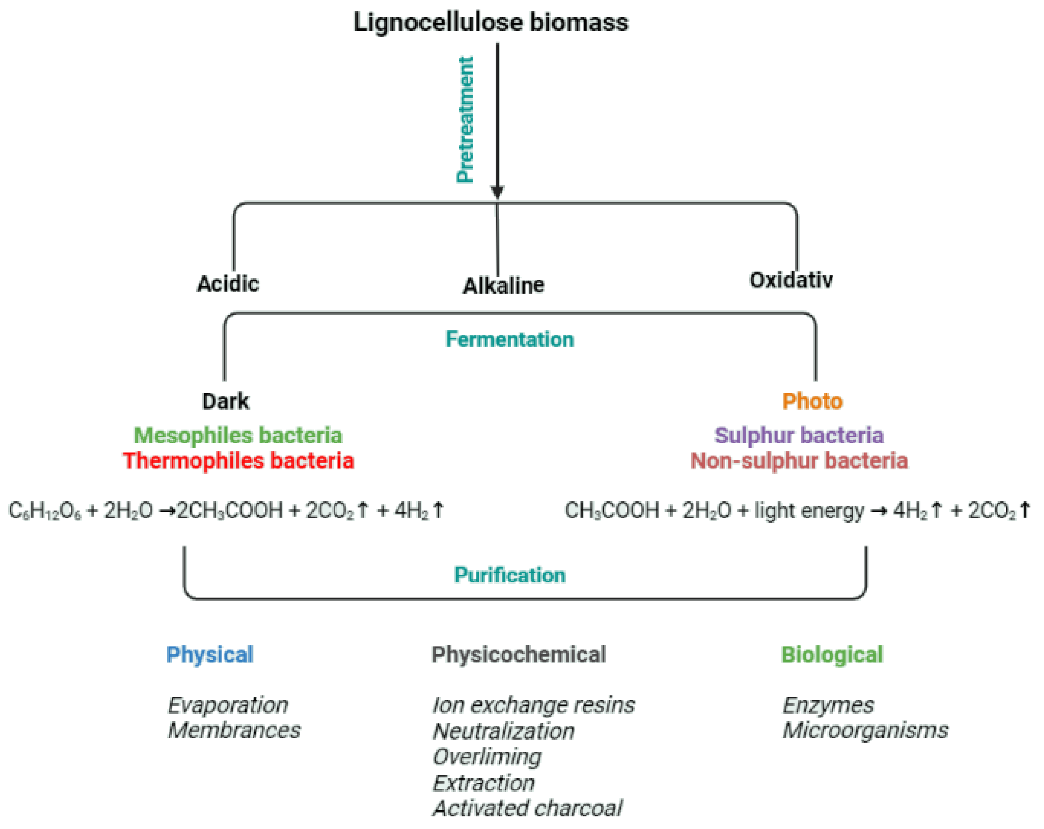 Molecules 27 07658 g005