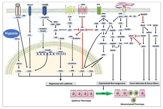 Molecules 27 07668 g002