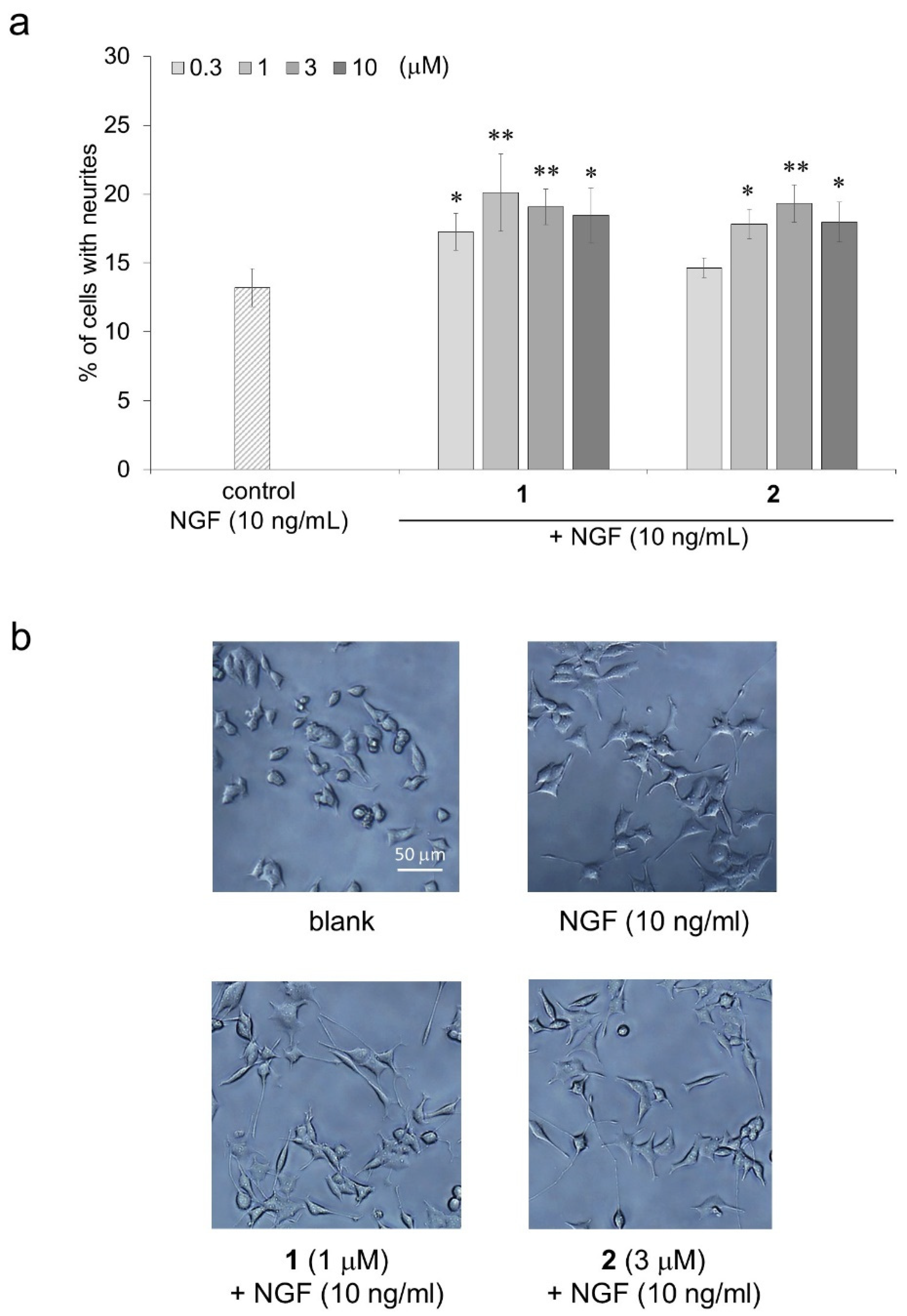 Molecules 27 07670 g005