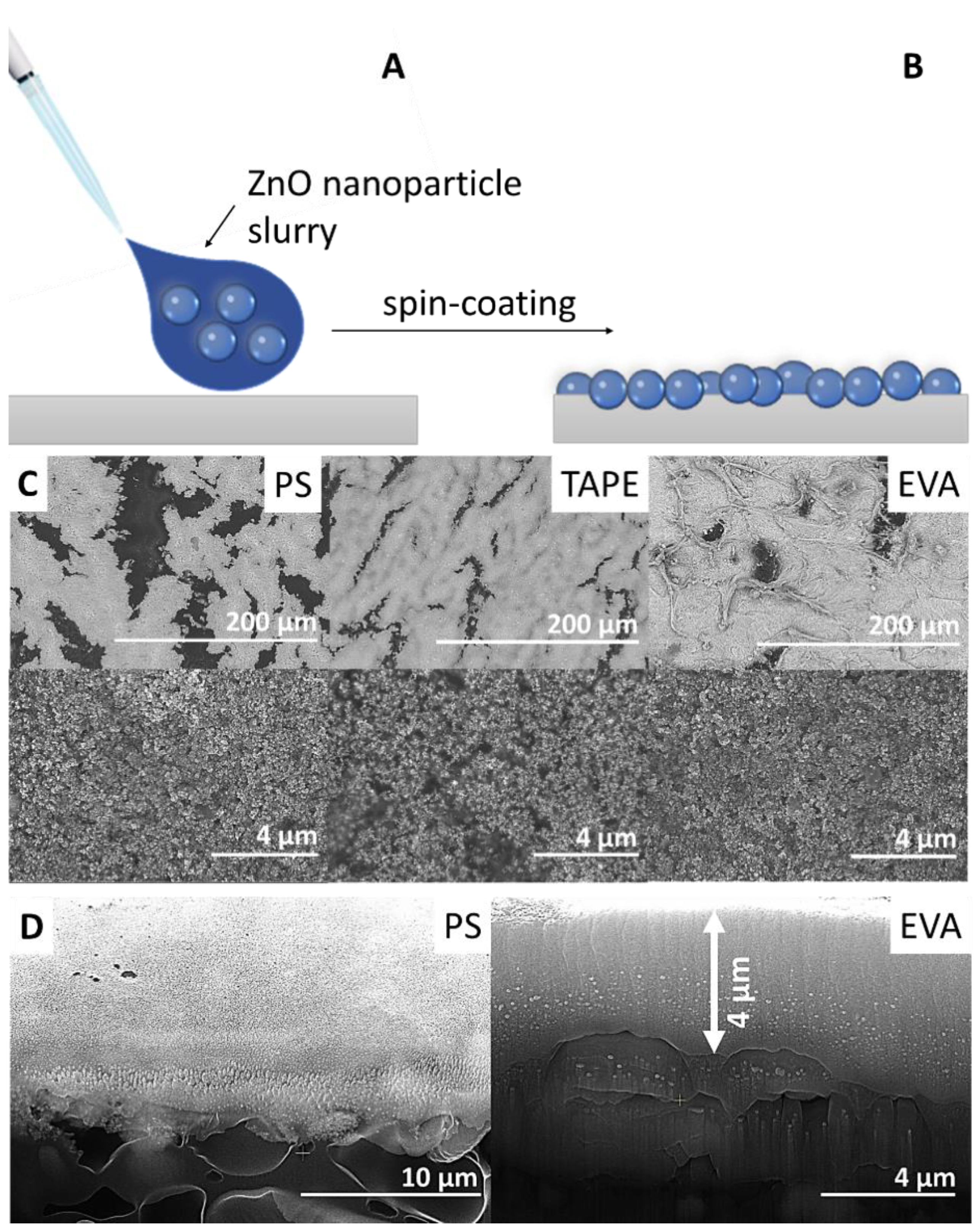 Molecules 27 07672 g002