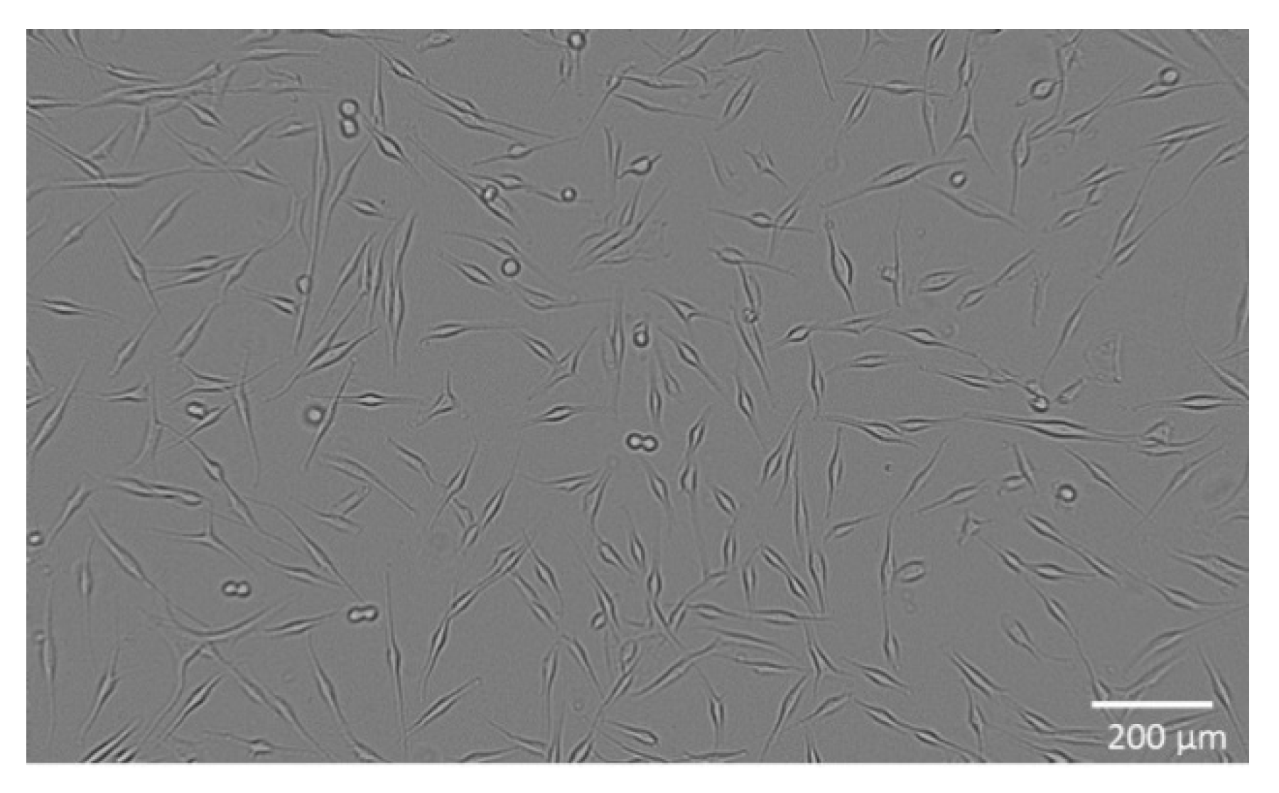 Molecules 27 07694 g006