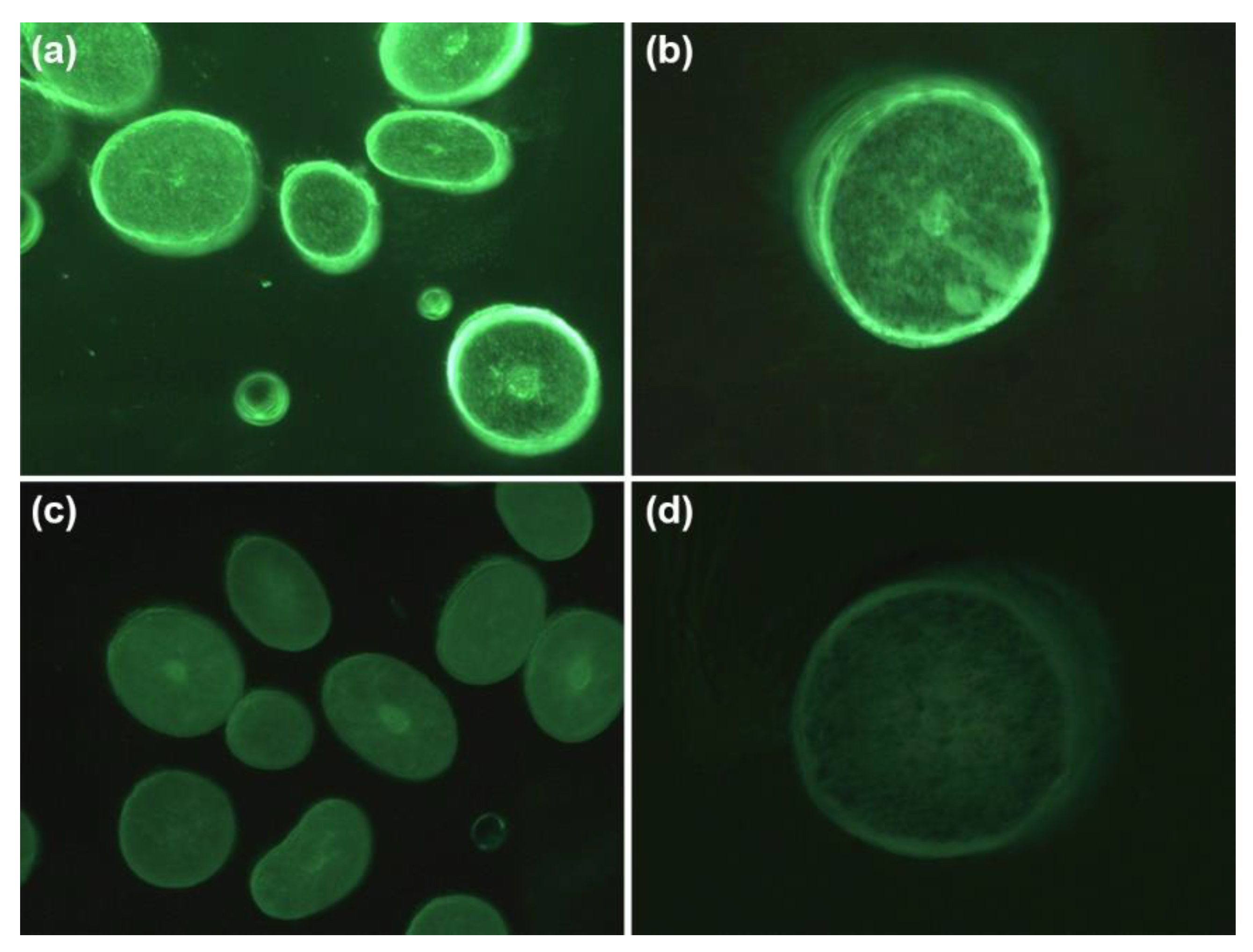 Molecules 27 07701 g003