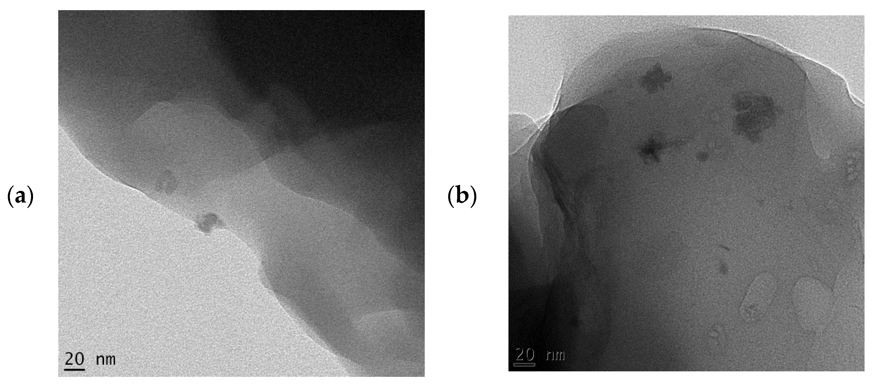 Molecules 27 07708 g003