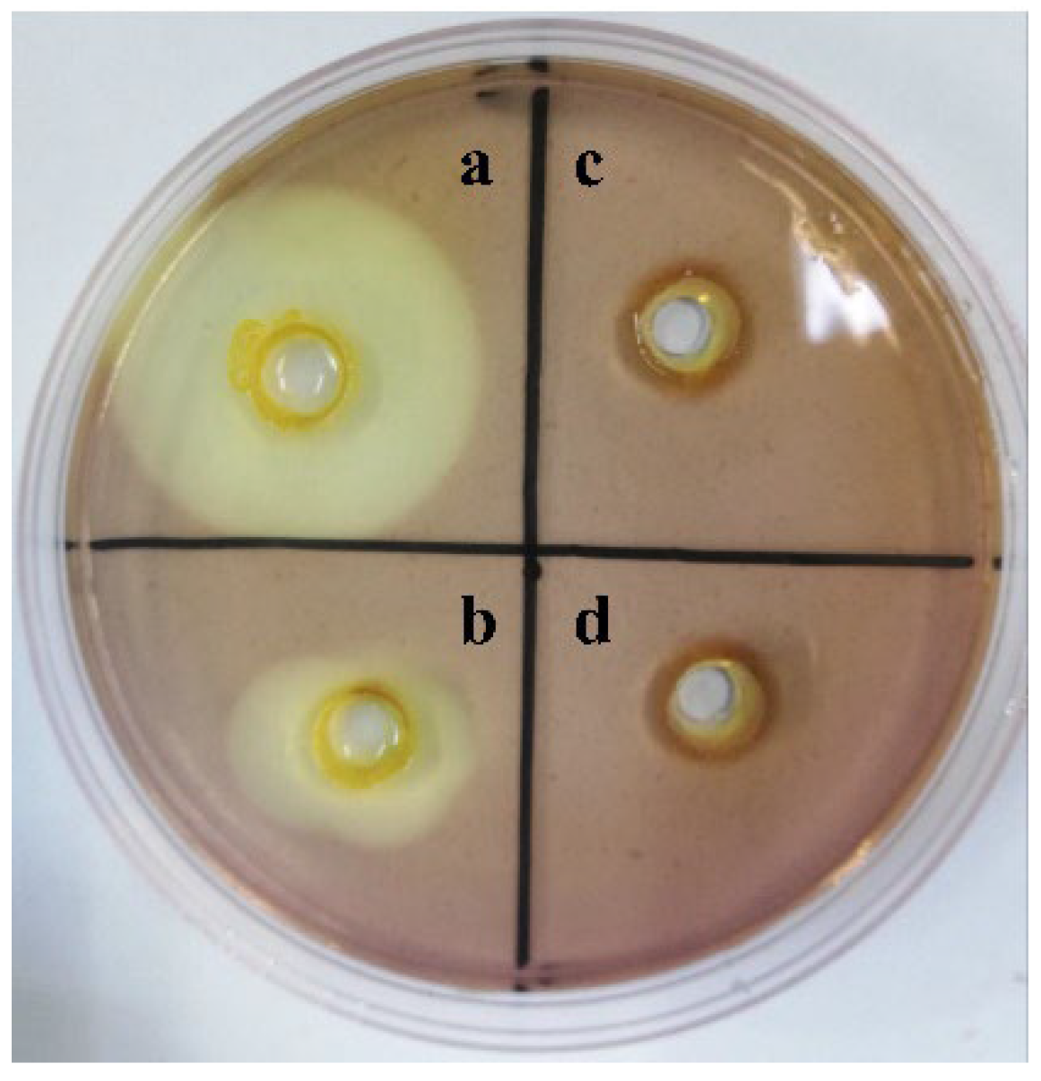 Molecules 27 07716 g001