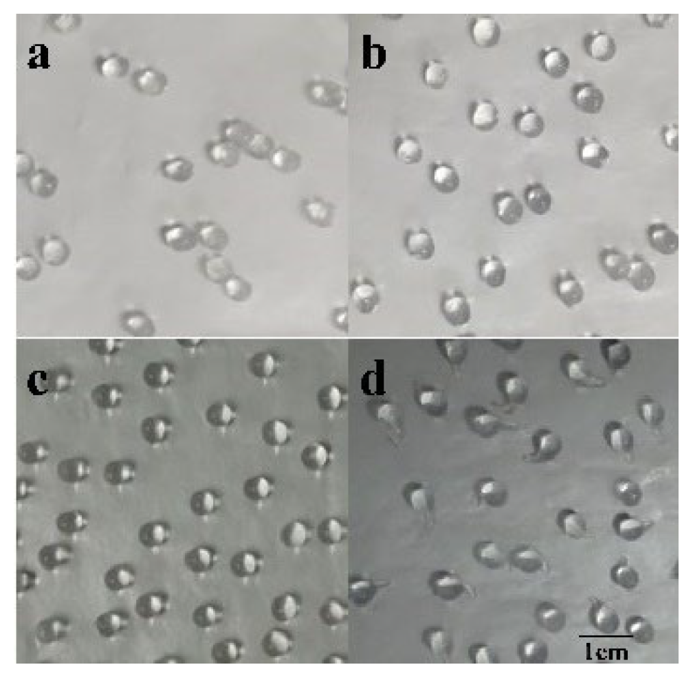 Molecules 27 07716 g008