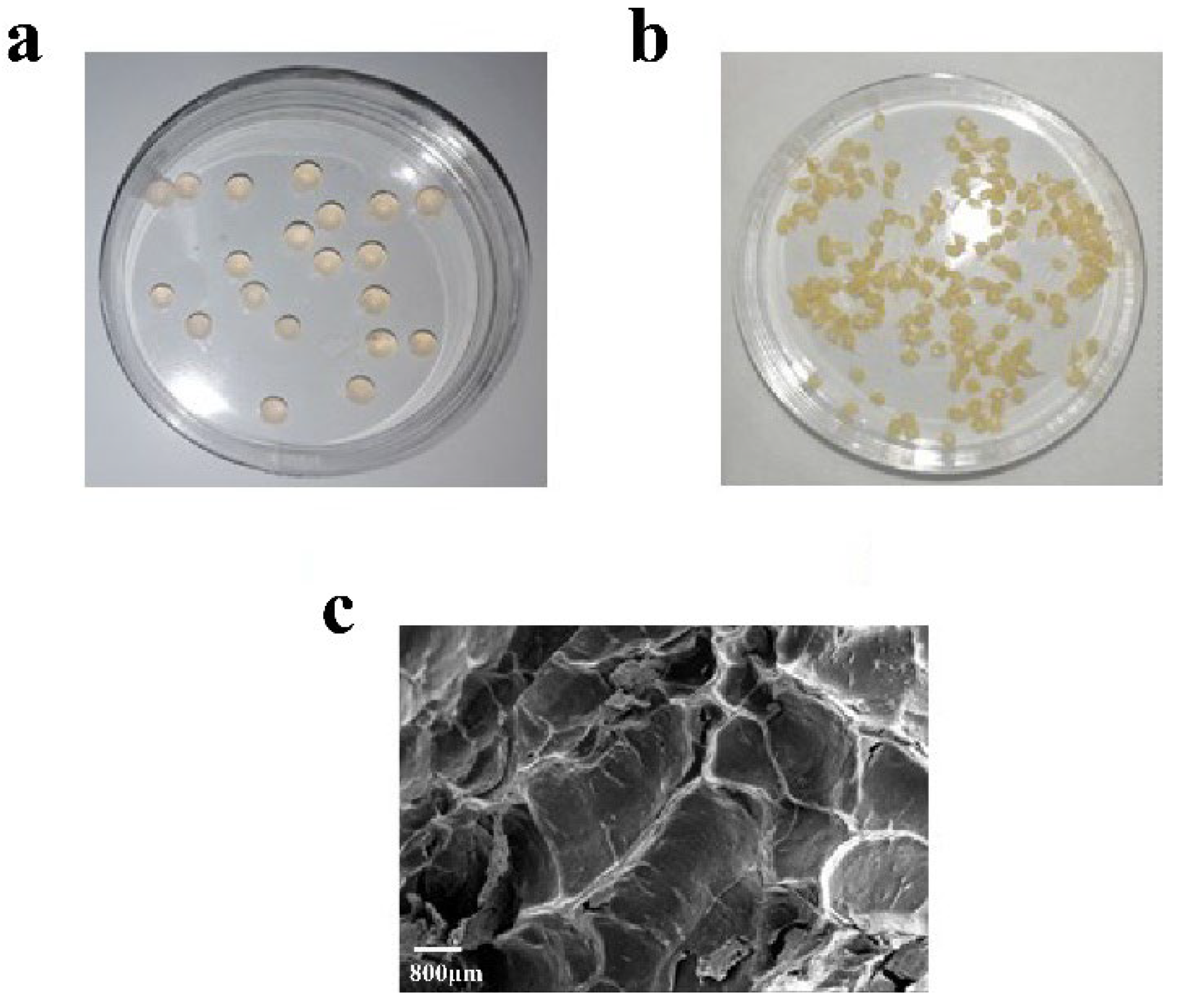 Molecules 27 07716 g010