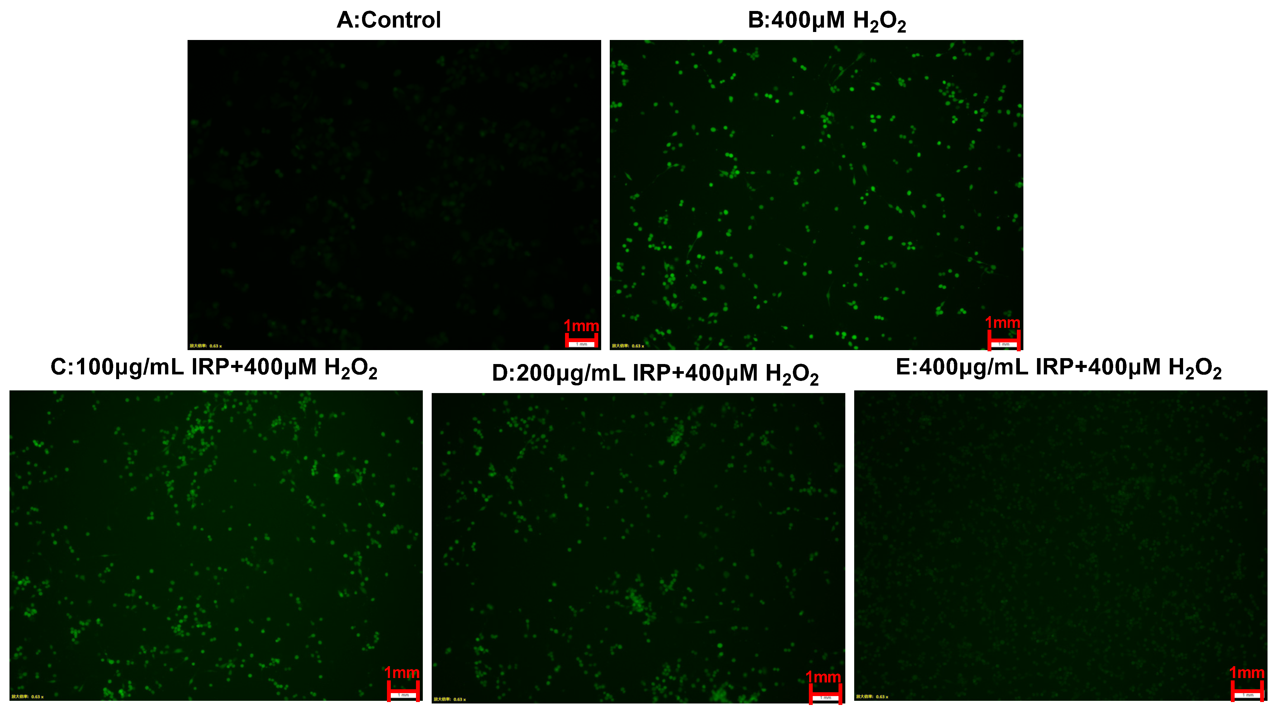 Molecules 27 07717 g011